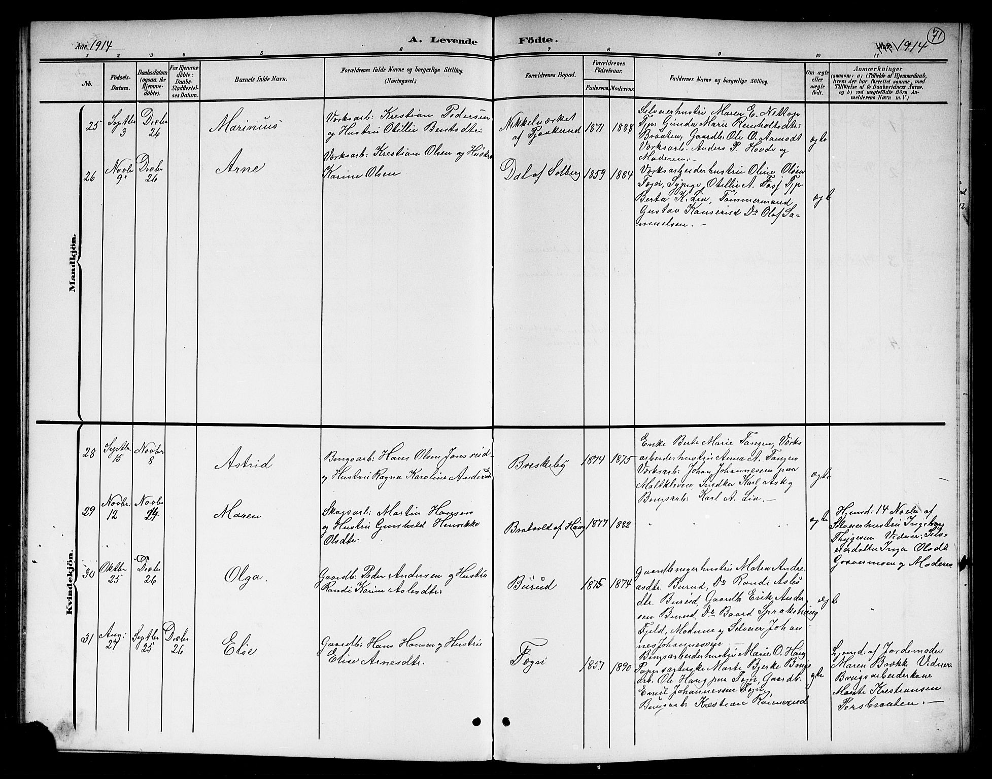 Hole kirkebøker, AV/SAKO-A-228/G/Gb/L0004: Parish register (copy) no. II 4, 1901-1916, p. 71