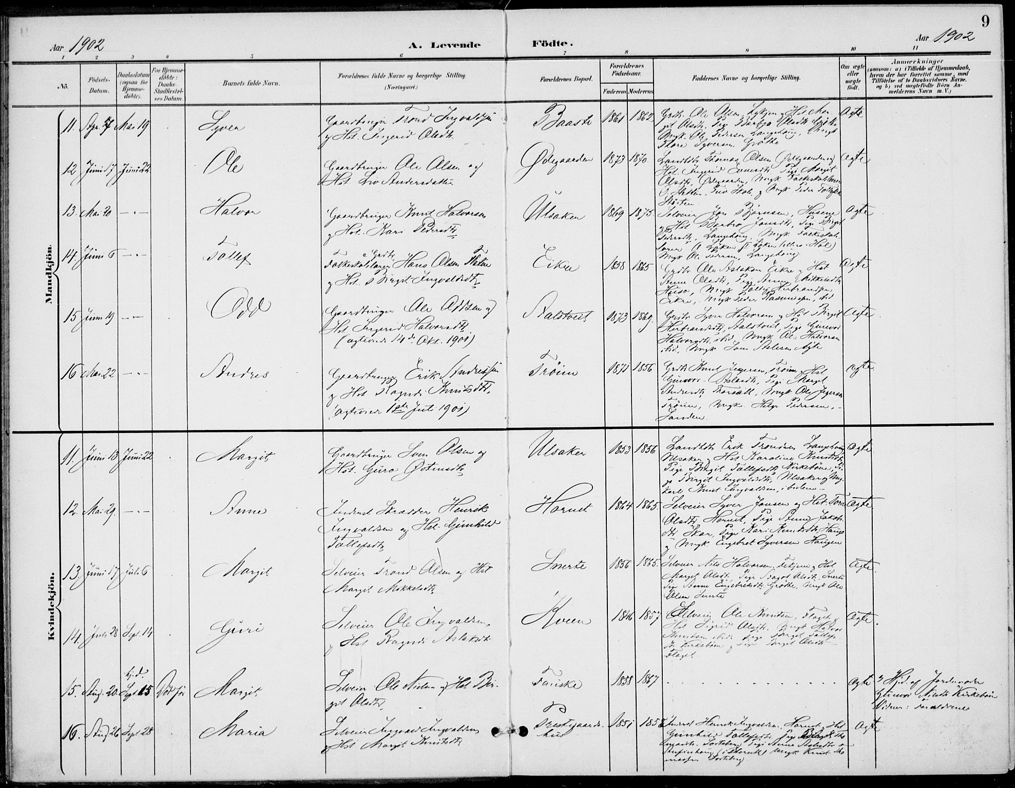 Gol kirkebøker, AV/SAKO-A-226/F/Fb/L0002: Parish register (official) no. II 2, 1900-1921, p. 9