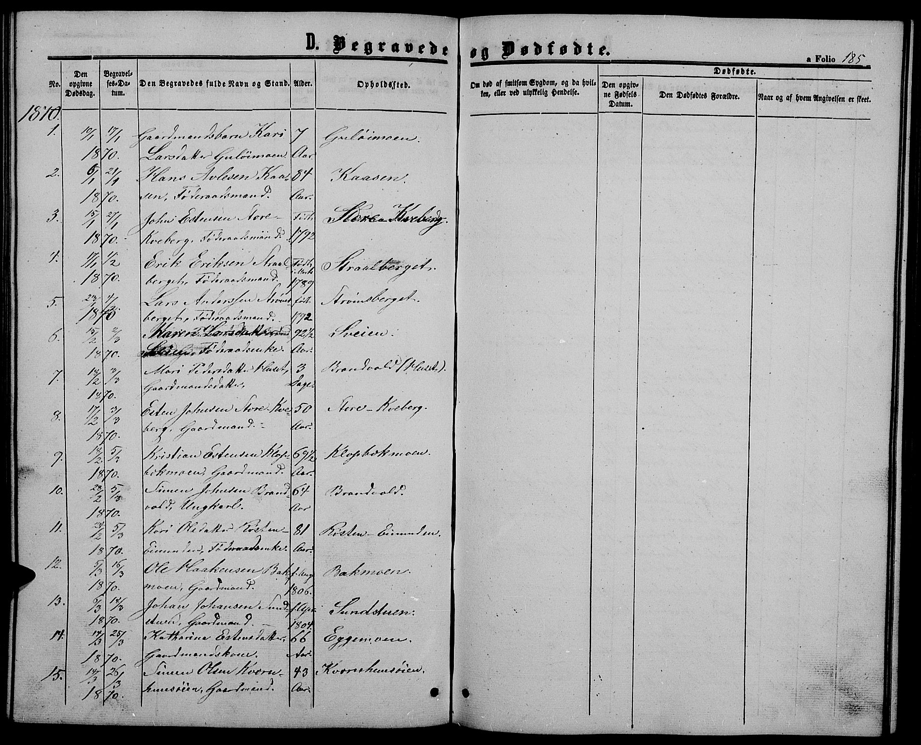 Alvdal prestekontor, SAH/PREST-060/H/Ha/Hab/L0002: Parish register (copy) no. 2, 1863-1878, p. 185