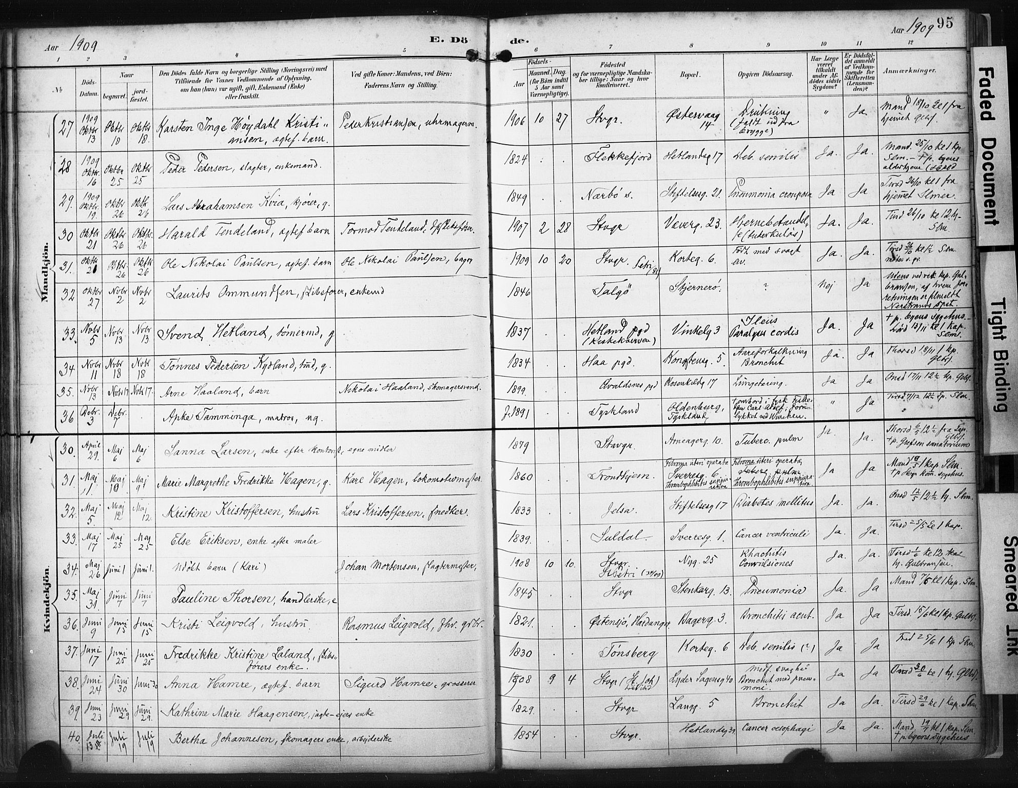 St. Petri sokneprestkontor, SAST/A-101813/001/30/30BA/L0022: Parish register (official) no. A 22, 1895-1919, p. 95