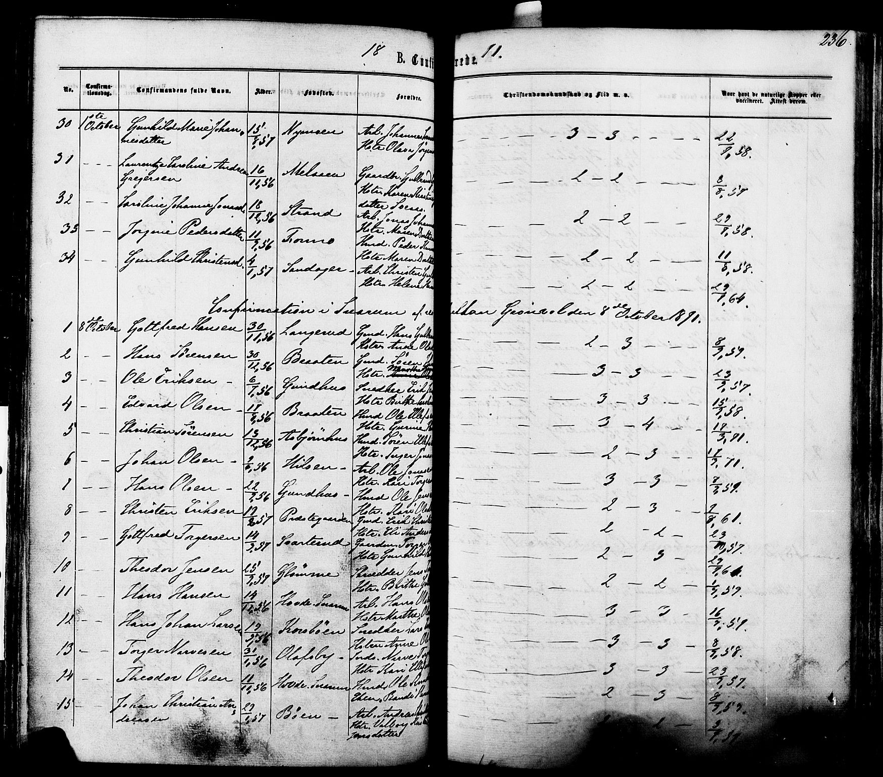 Modum kirkebøker, AV/SAKO-A-234/F/Fa/L0010: Parish register (official) no. 10, 1865-1876, p. 236