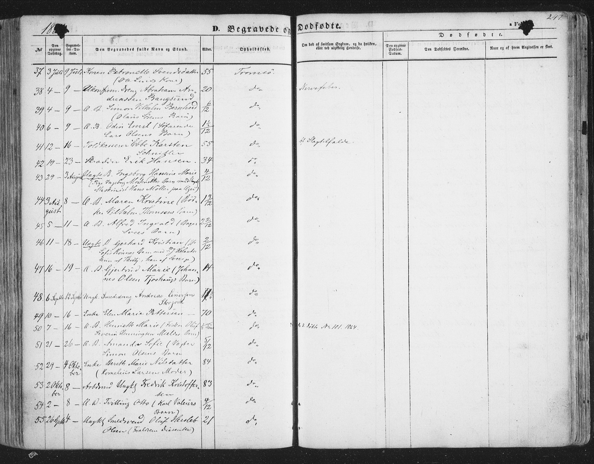 Tromsø sokneprestkontor/stiftsprosti/domprosti, AV/SATØ-S-1343/G/Ga/L0011kirke: Parish register (official) no. 11, 1856-1865, p. 247