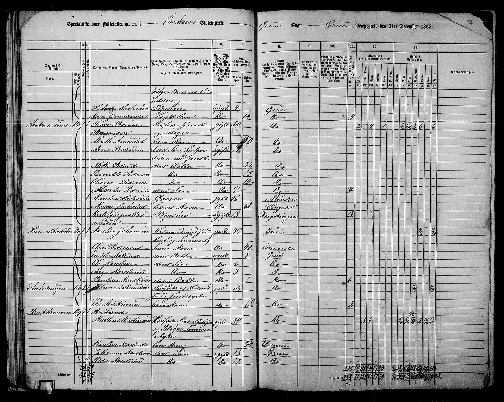 RA, 1865 census for Grue, 1865, p. 37