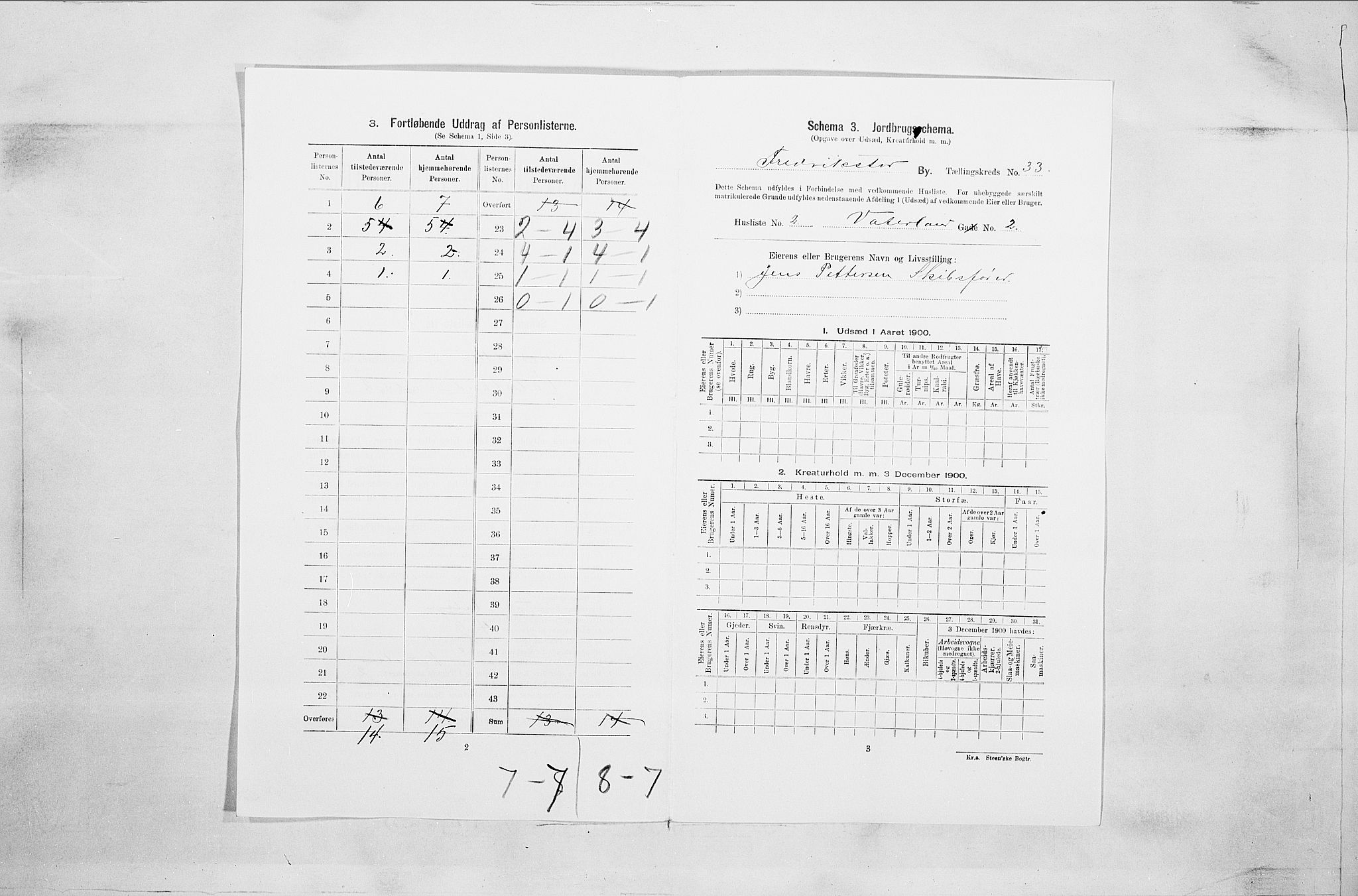 SAO, 1900 census for Fredrikstad, 1900