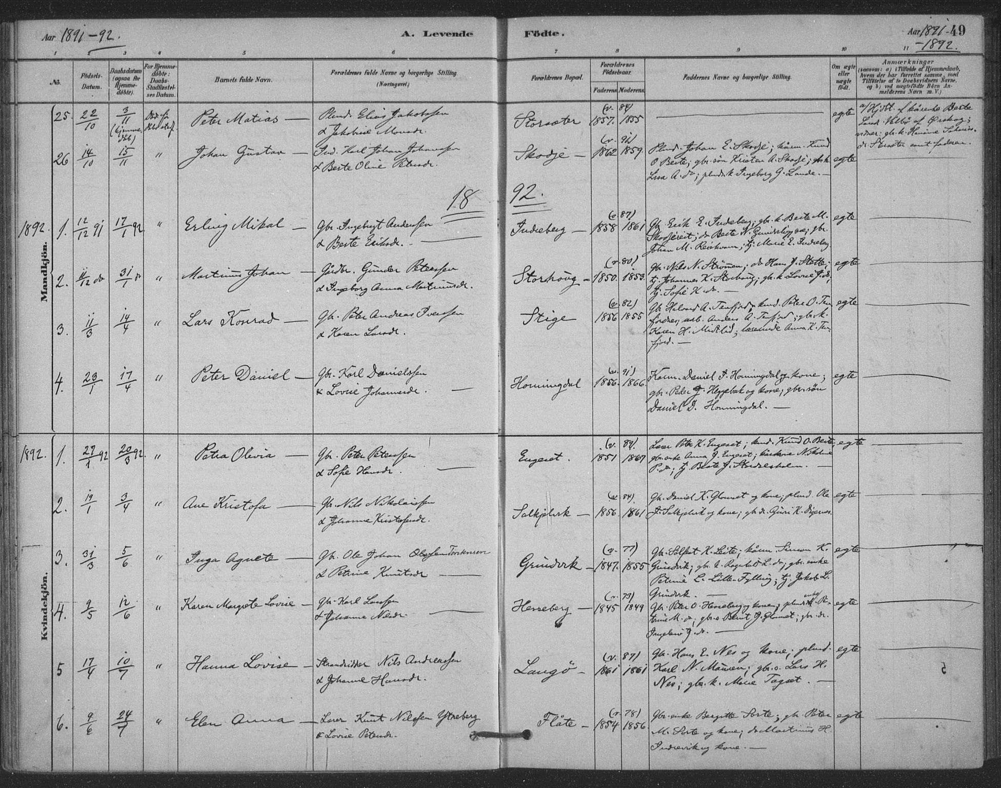Ministerialprotokoller, klokkerbøker og fødselsregistre - Møre og Romsdal, SAT/A-1454/524/L0356: Parish register (official) no. 524A08, 1880-1899, p. 49