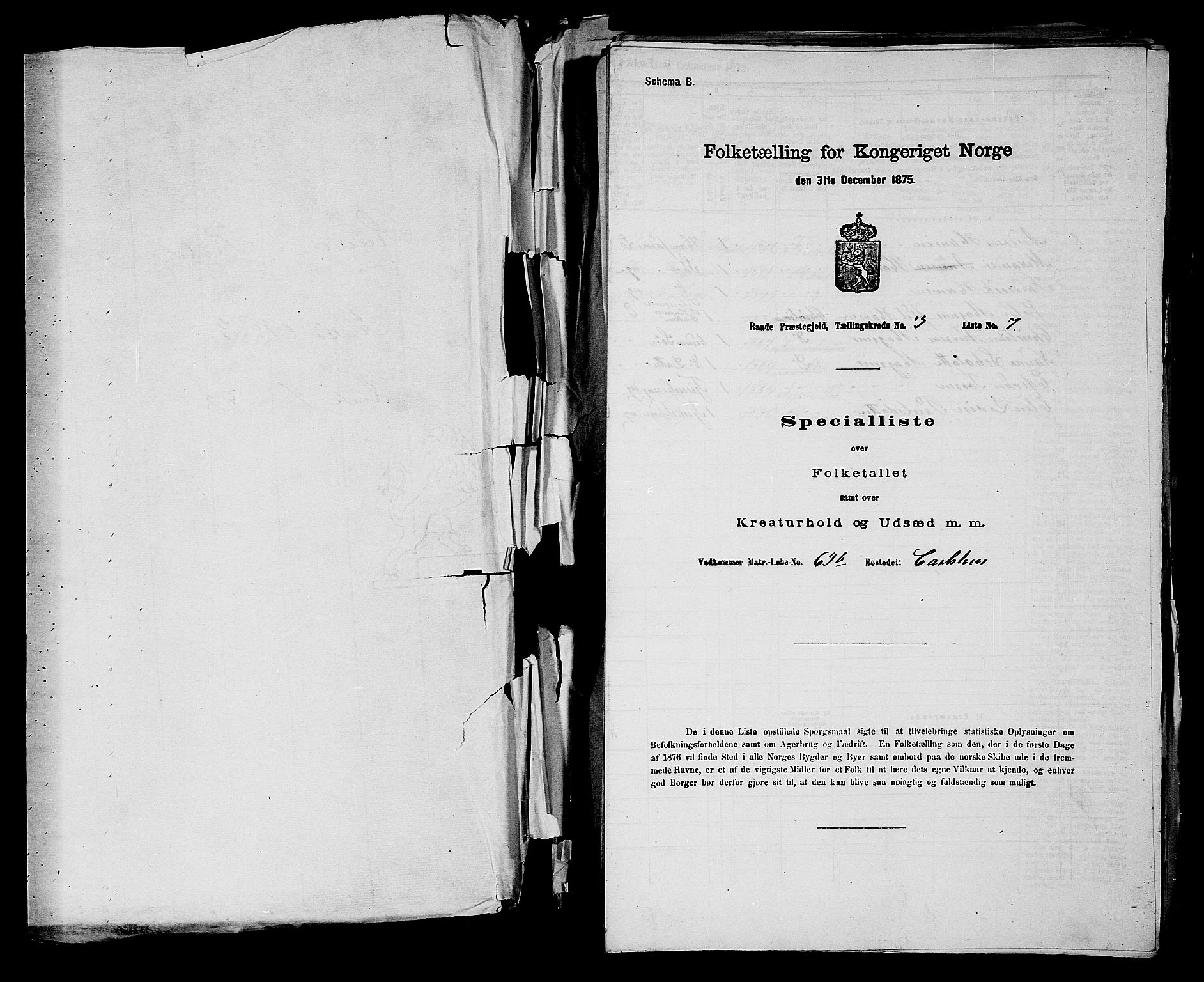 RA, 1875 census for 0135P Råde, 1875, p. 596