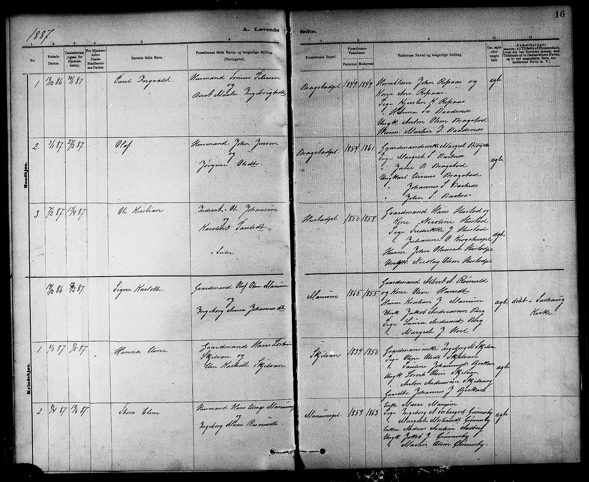 Ministerialprotokoller, klokkerbøker og fødselsregistre - Nord-Trøndelag, AV/SAT-A-1458/732/L0318: Parish register (copy) no. 732C02, 1881-1911, p. 16