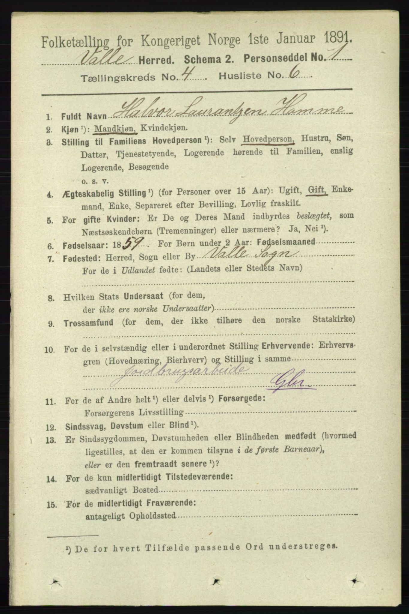 RA, 1891 census for 0940 Valle, 1891, p. 1020