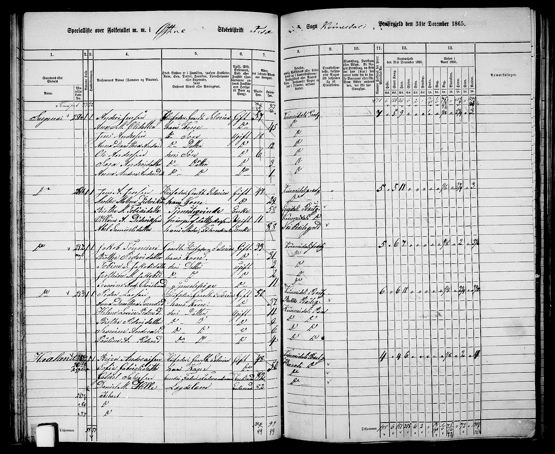 RA, 1865 census for Kvinesdal, 1865, p. 63