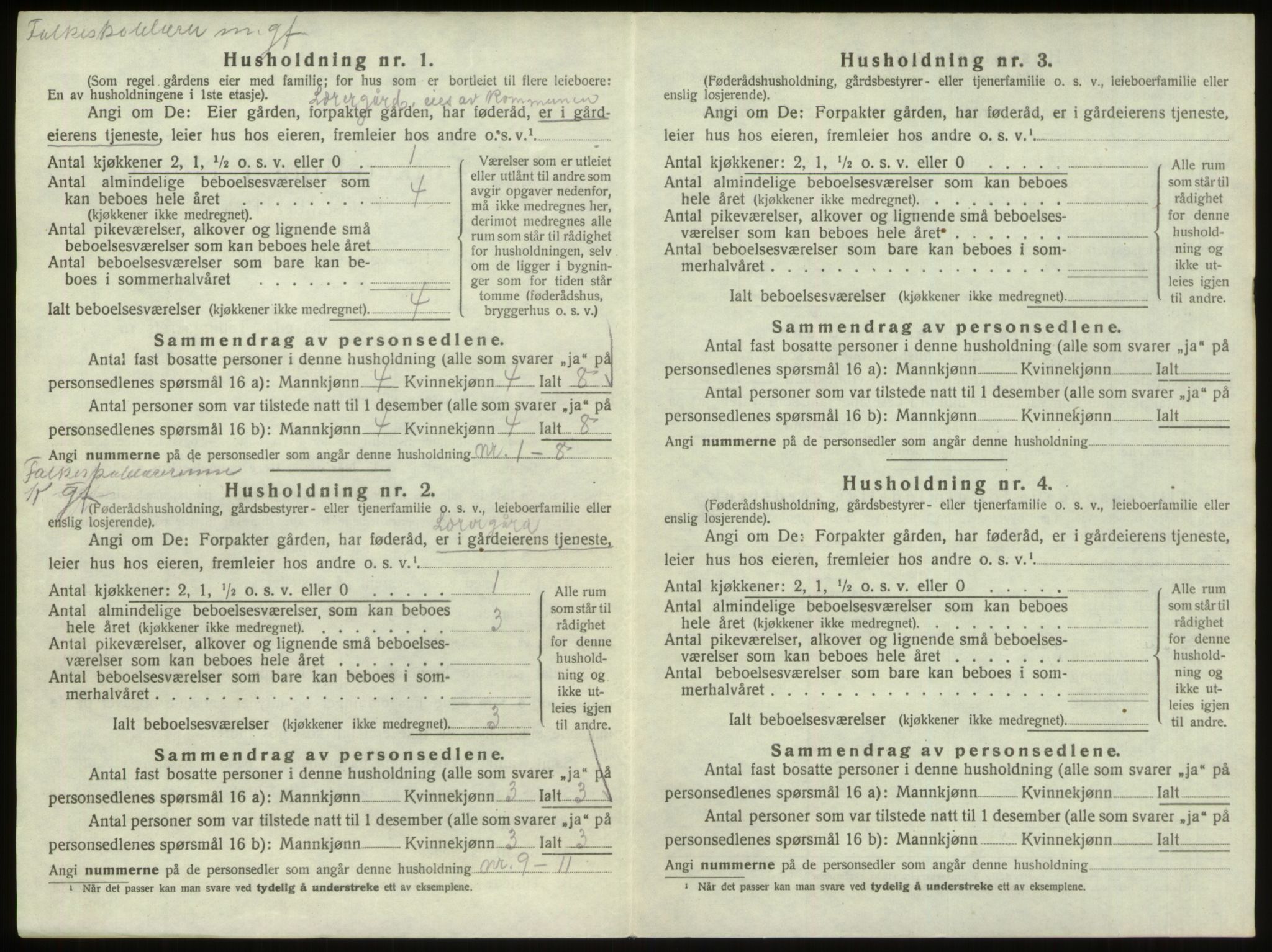 SAO, 1920 census for Hvaler, 1920, p. 1310