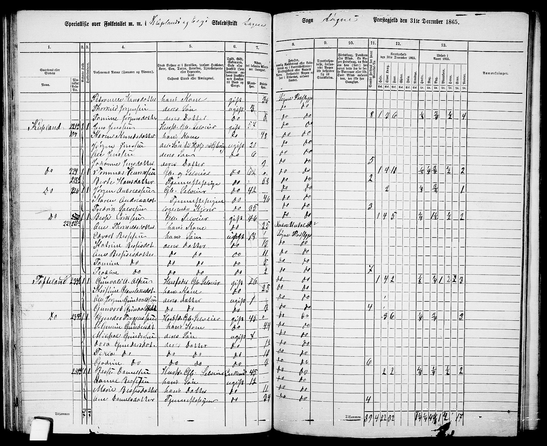 RA, 1865 census for Søgne, 1865, p. 70