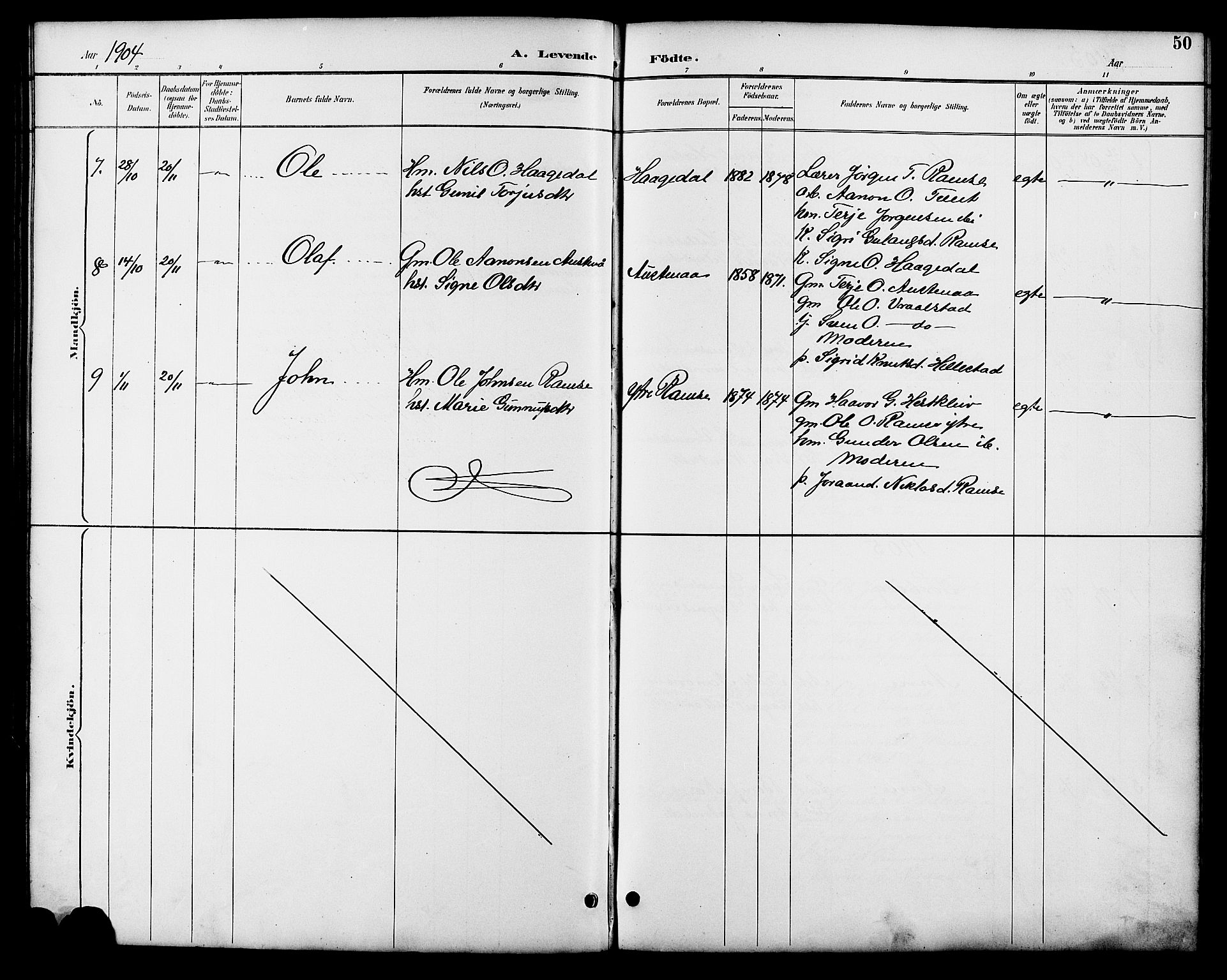 Åmli sokneprestkontor, AV/SAK-1111-0050/F/Fb/Fbb/L0002: Parish register (copy) no. B 2, 1890-1905, p. 50