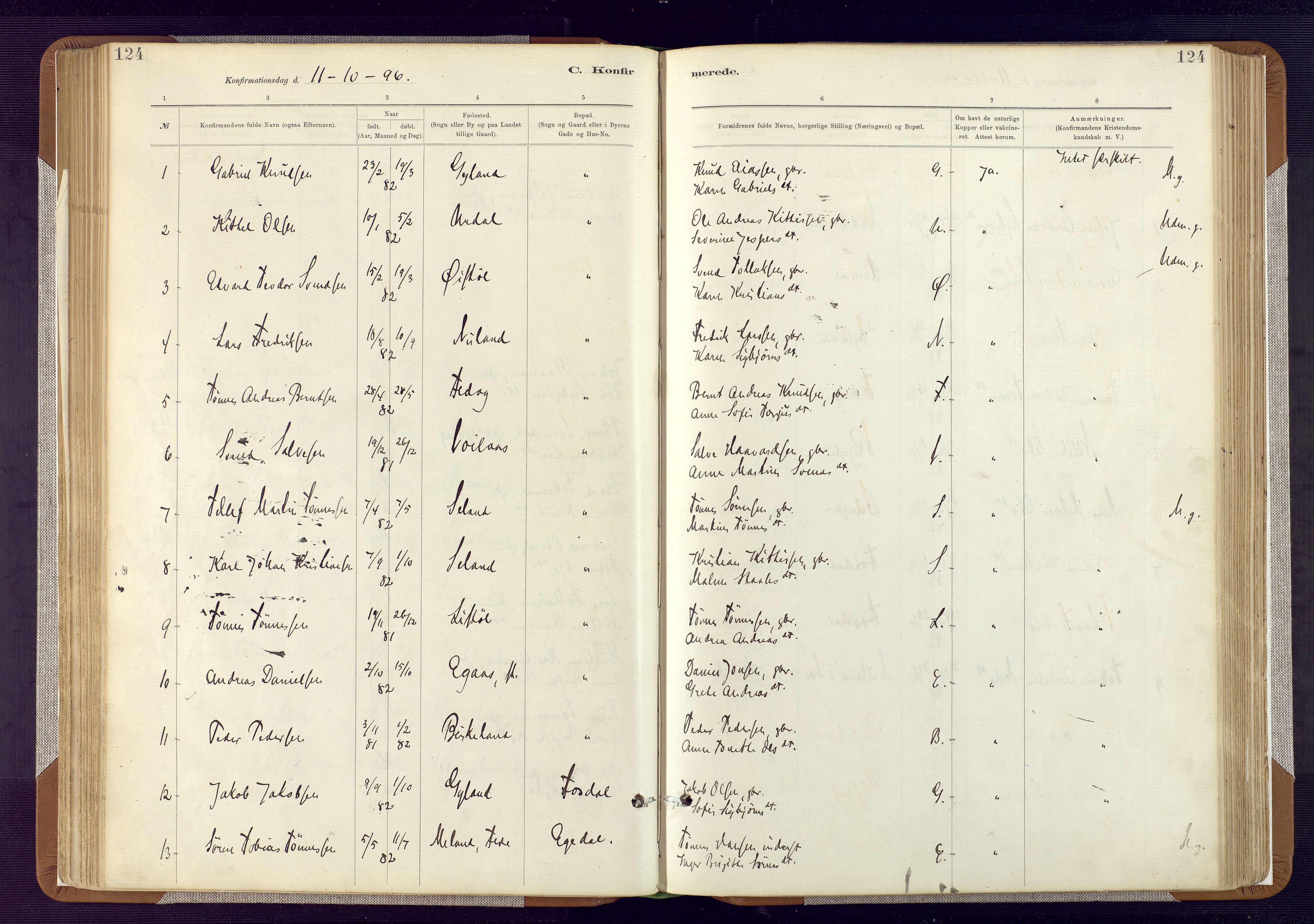 Bakke sokneprestkontor, SAK/1111-0002/F/Fa/Fab/L0003: Parish register (official) no. A 3, 1884-1921, p. 124