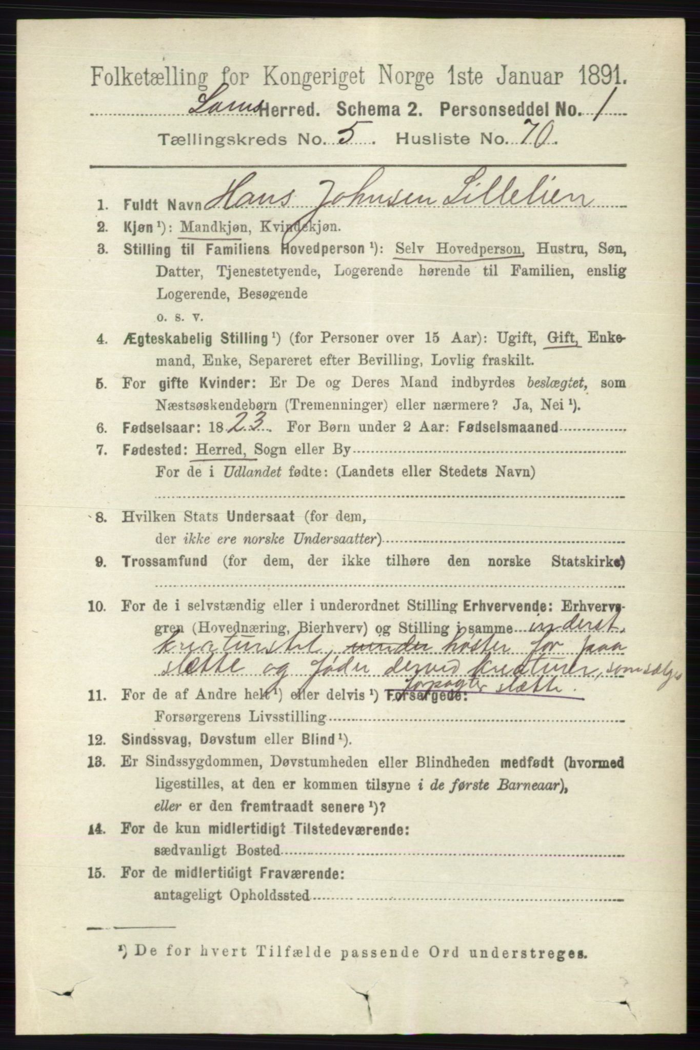 RA, 1891 census for 0514 Lom, 1891, p. 2297