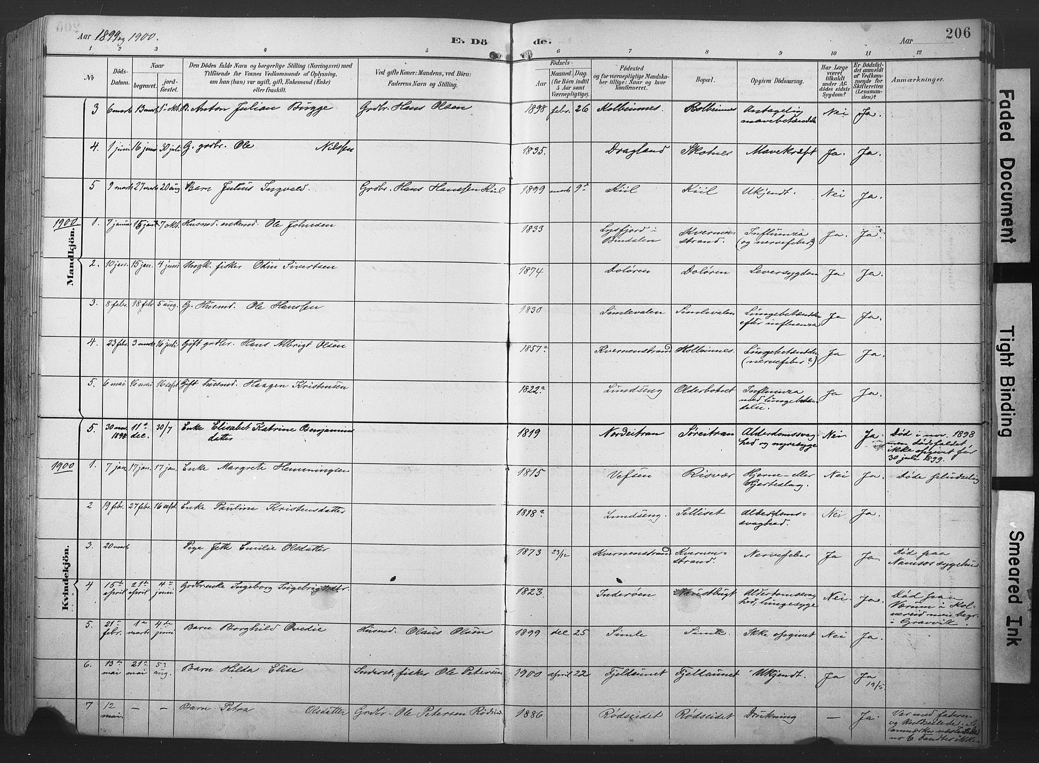 Ministerialprotokoller, klokkerbøker og fødselsregistre - Nord-Trøndelag, SAT/A-1458/789/L0706: Parish register (copy) no. 789C01, 1888-1931, p. 206