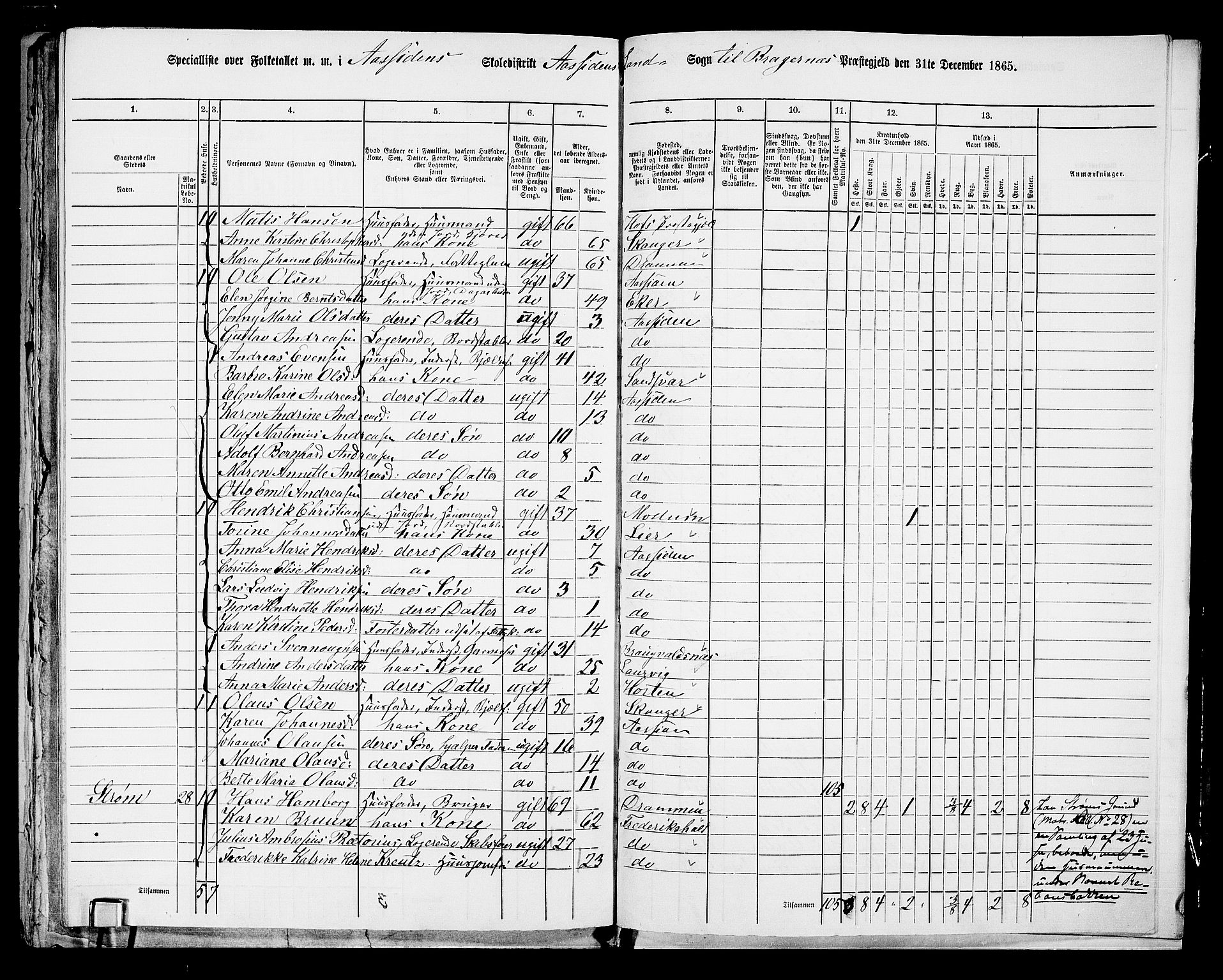 RA, 1865 census for Bragernes/Åssiden, 1865, p. 34