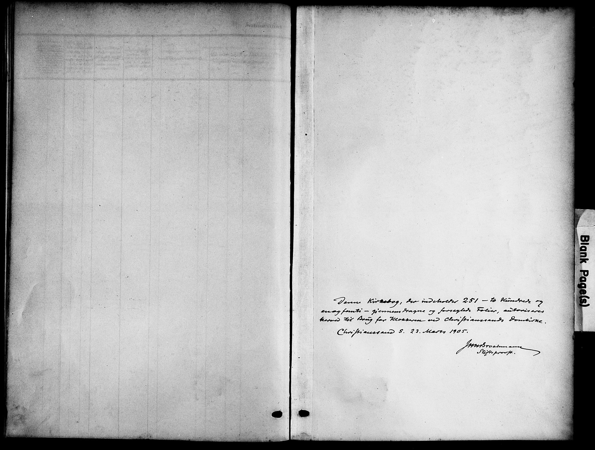 Kristiansand domprosti, AV/SAK-1112-0006/F/Fb/L0019: Parish register (copy) no. B 19, 1905-1914