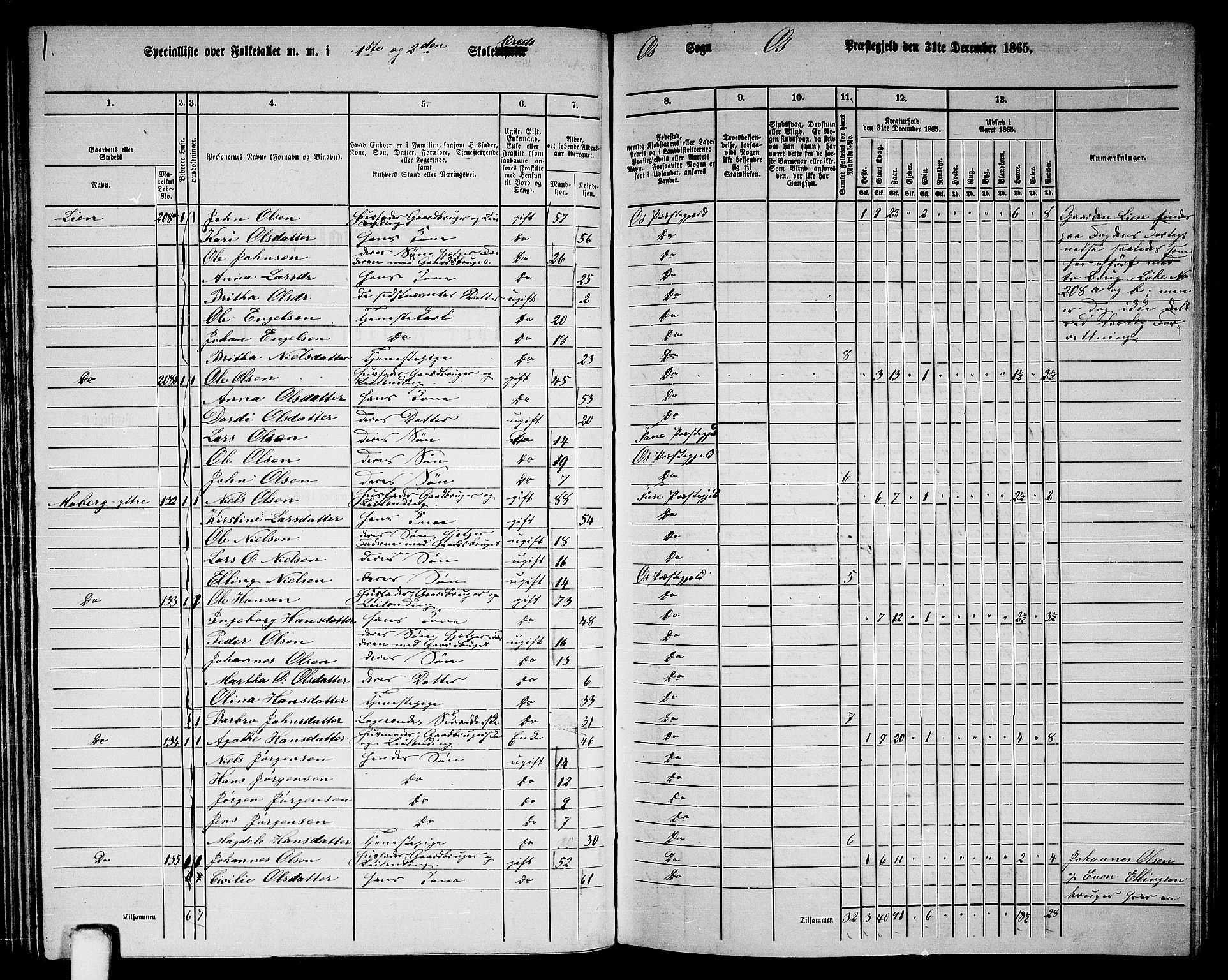 RA, 1865 census for Os, 1865, p. 65