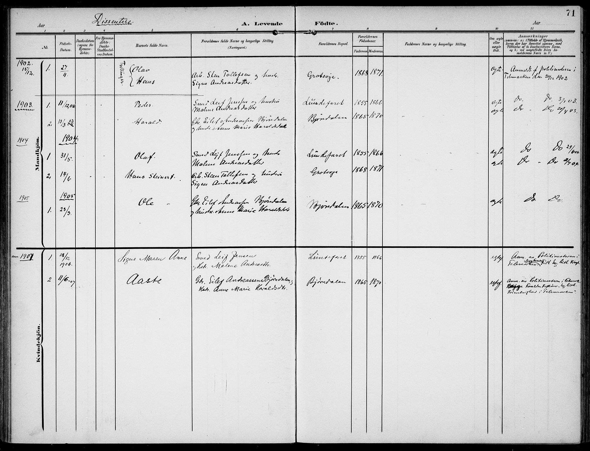 Lunde kirkebøker, SAKO/A-282/F/Fa/L0004: Parish register (official) no. I 4, 1902-1913, p. 71