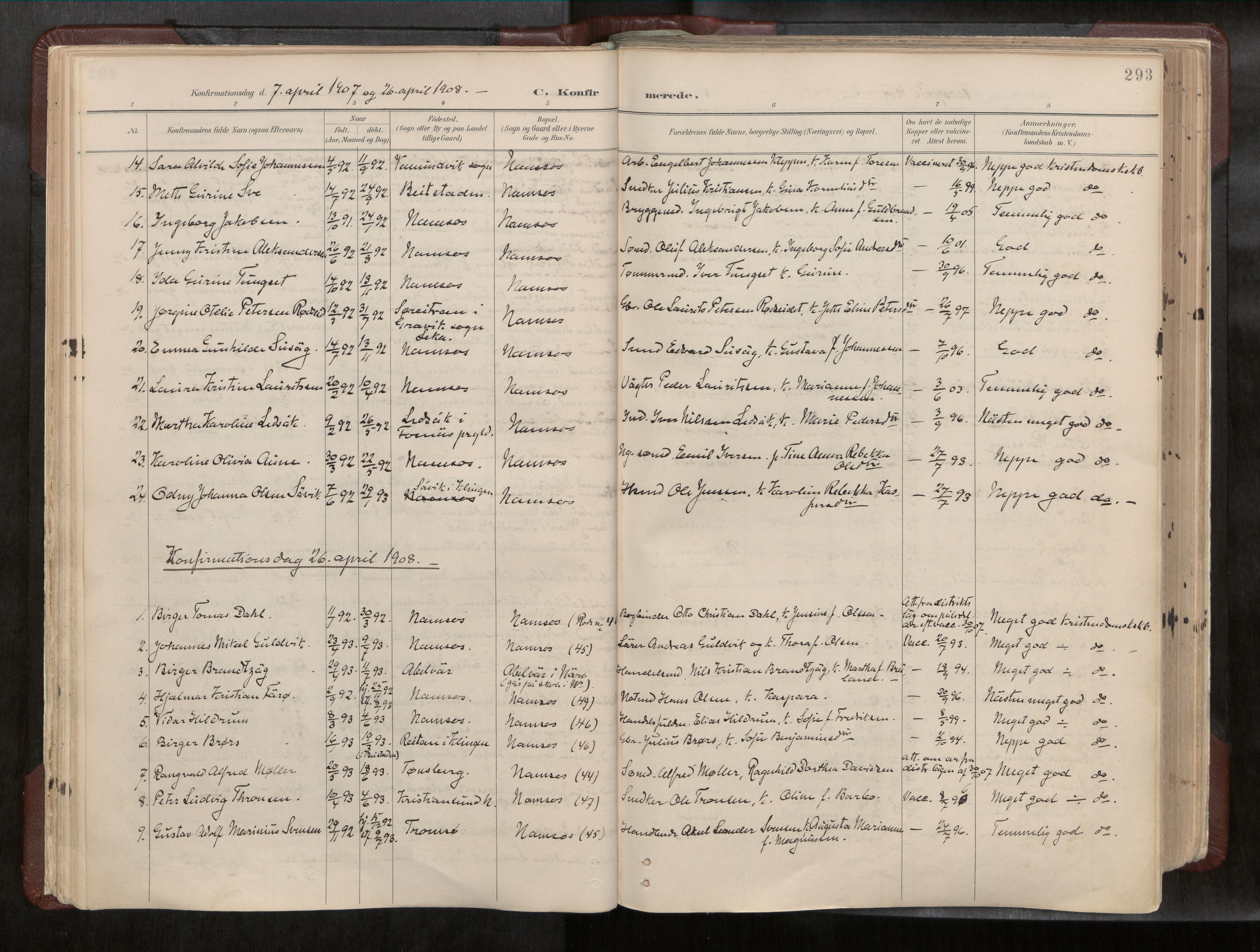 Ministerialprotokoller, klokkerbøker og fødselsregistre - Nord-Trøndelag, SAT/A-1458/768/L0579a: Parish register (official) no. 768A14, 1887-1931, p. 293
