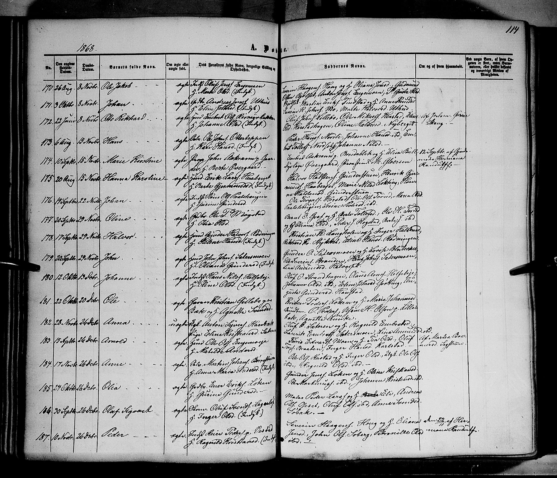 Elverum prestekontor, AV/SAH-PREST-044/H/Ha/Haa/L0010: Parish register (official) no. 10, 1857-1868, p. 114