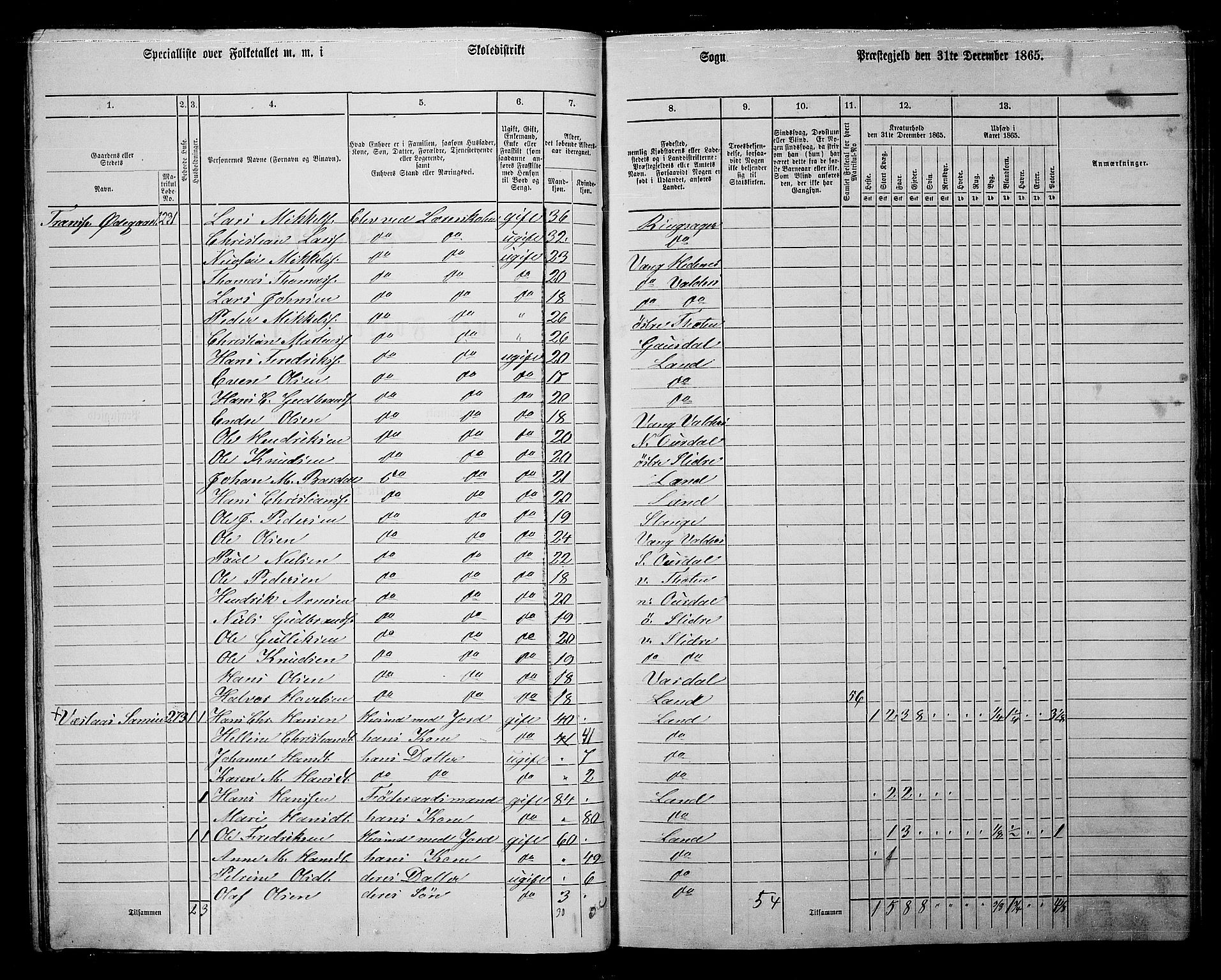 RA, 1865 census for Land, 1865, p. 283