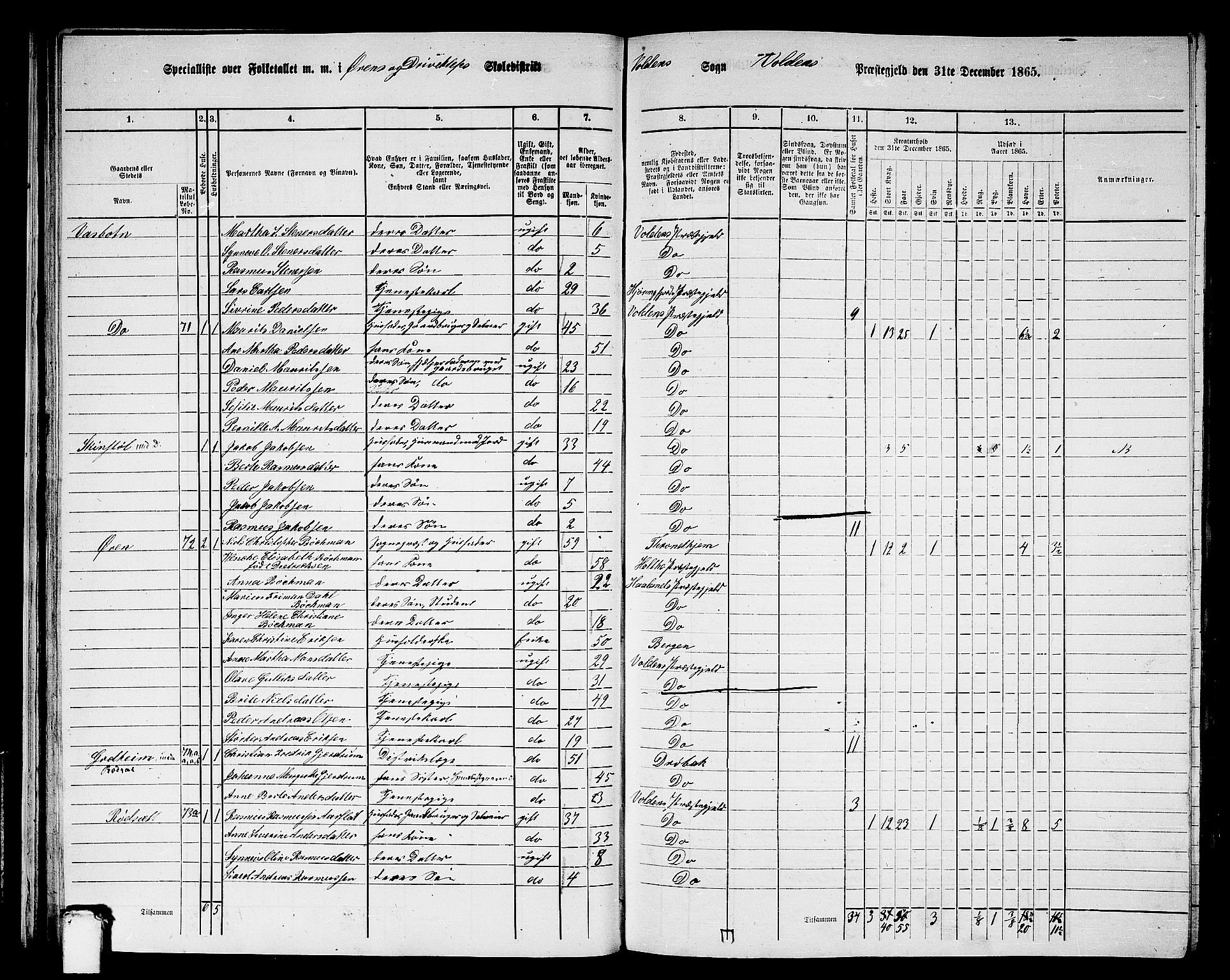 RA, 1865 census for Volda, 1865, p. 43