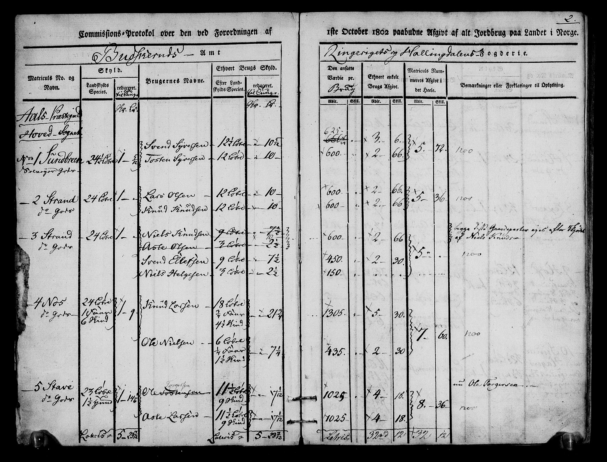 Rentekammeret inntil 1814, Realistisk ordnet avdeling, AV/RA-EA-4070/N/Ne/Nea/L0048: Ringerike og Hallingdal fogderi. Kommisjonsprotokoll for Ål prestegjeld, 1803, p. 3