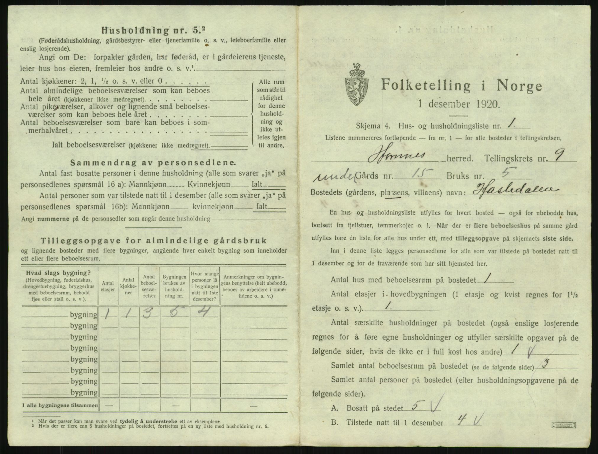 SAK, 1920 census for Hornnes, 1920, p. 351