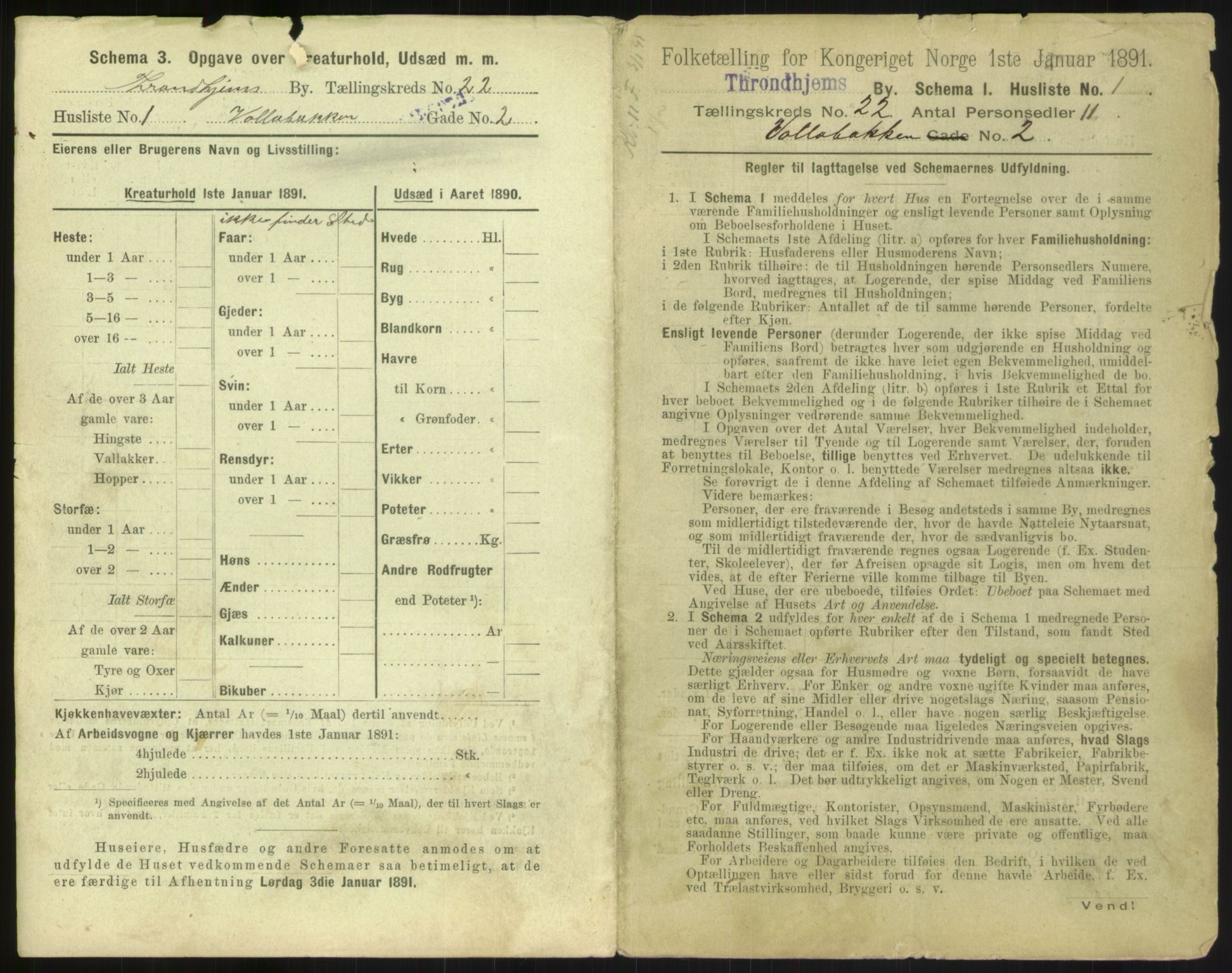 RA, 1891 census for 1601 Trondheim, 1891, p. 1272