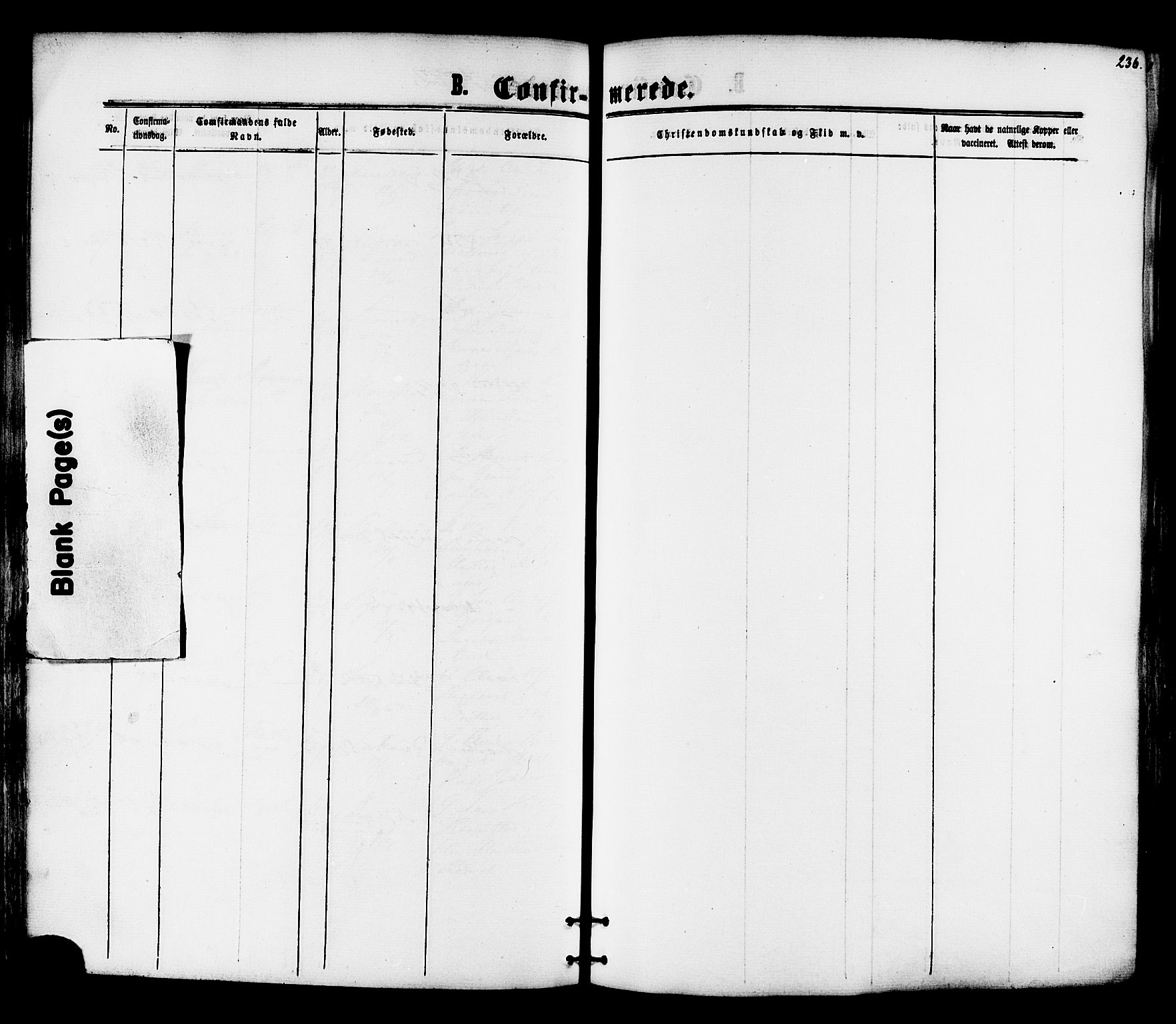 Ministerialprotokoller, klokkerbøker og fødselsregistre - Nord-Trøndelag, SAT/A-1458/701/L0009: Parish register (official) no. 701A09 /1, 1864-1882, p. 236