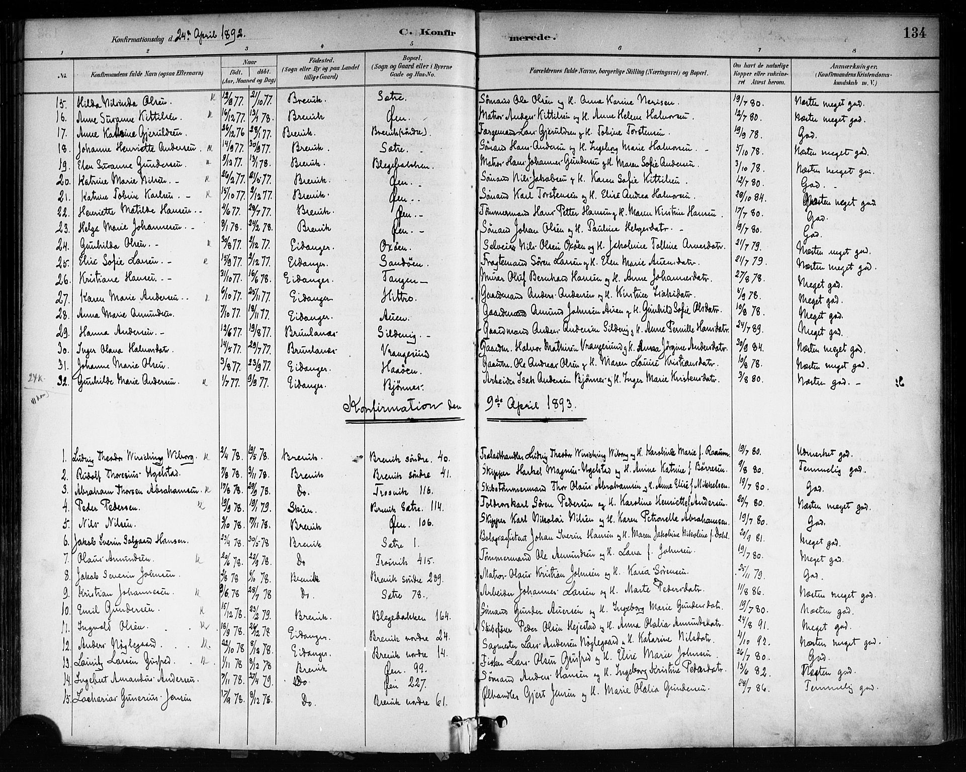 Brevik kirkebøker, SAKO/A-255/F/Fa/L0007: Parish register (official) no. 7, 1882-1900, p. 134