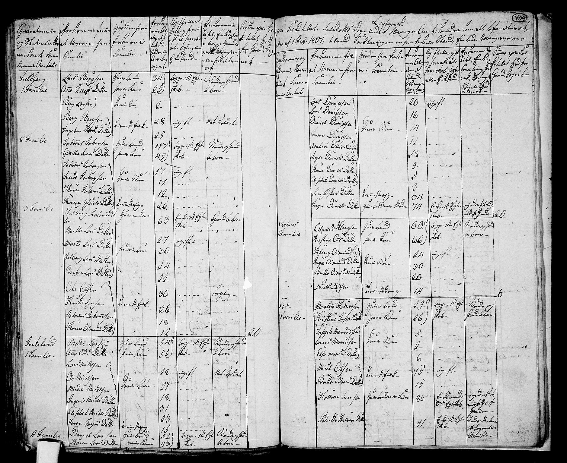 RA, 1801 census for 1134P Suldal, 1801, p. 408b-409a