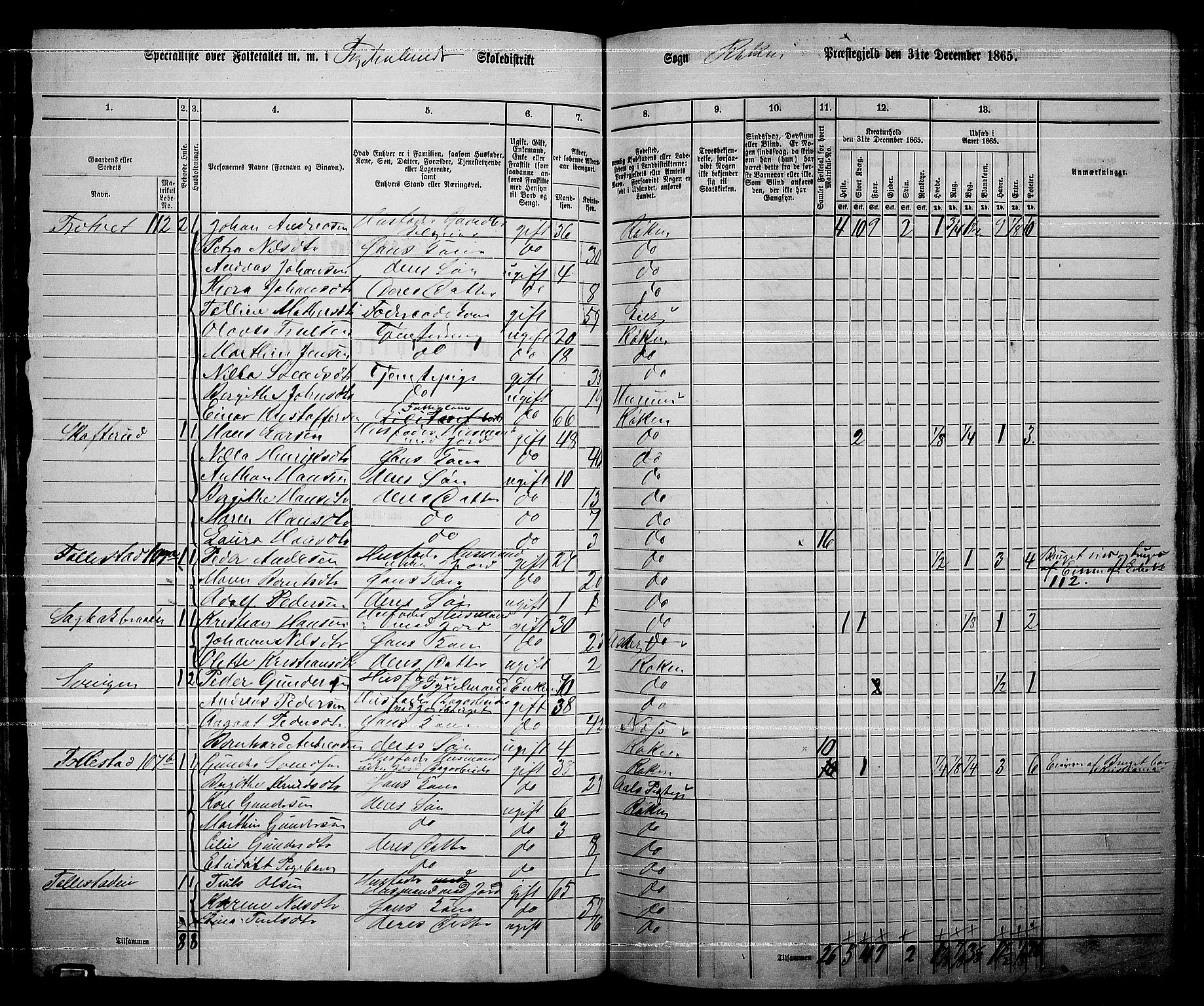 RA, 1865 census for Røyken, 1865, p. 95