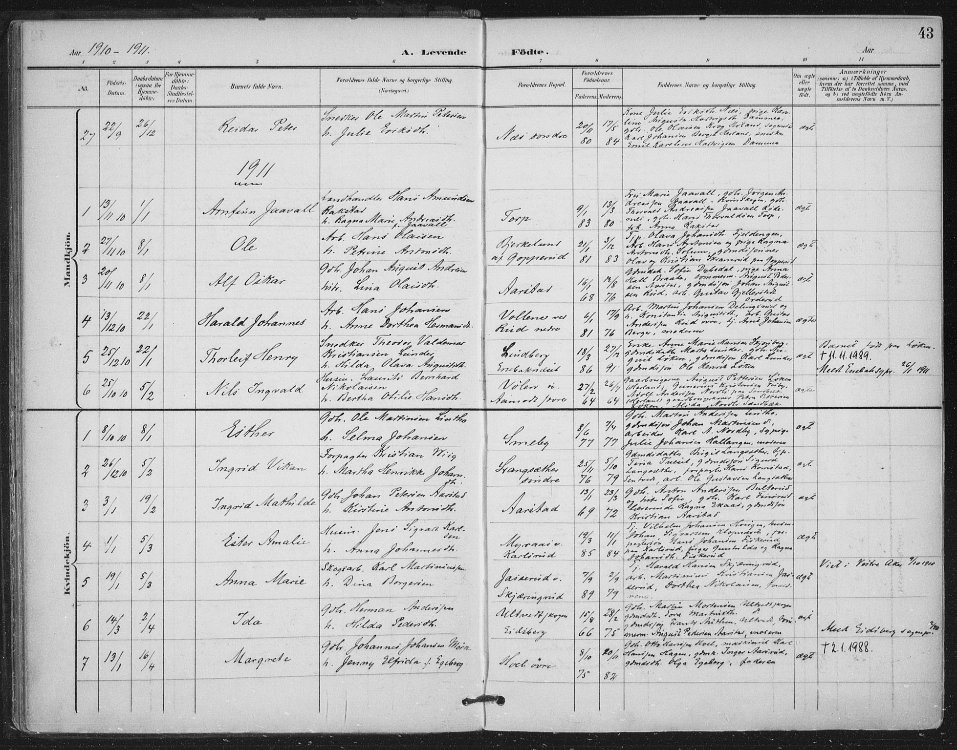 Trøgstad prestekontor Kirkebøker, SAO/A-10925/F/Fa/L0011: Parish register (official) no. I 11, 1899-1919, p. 43