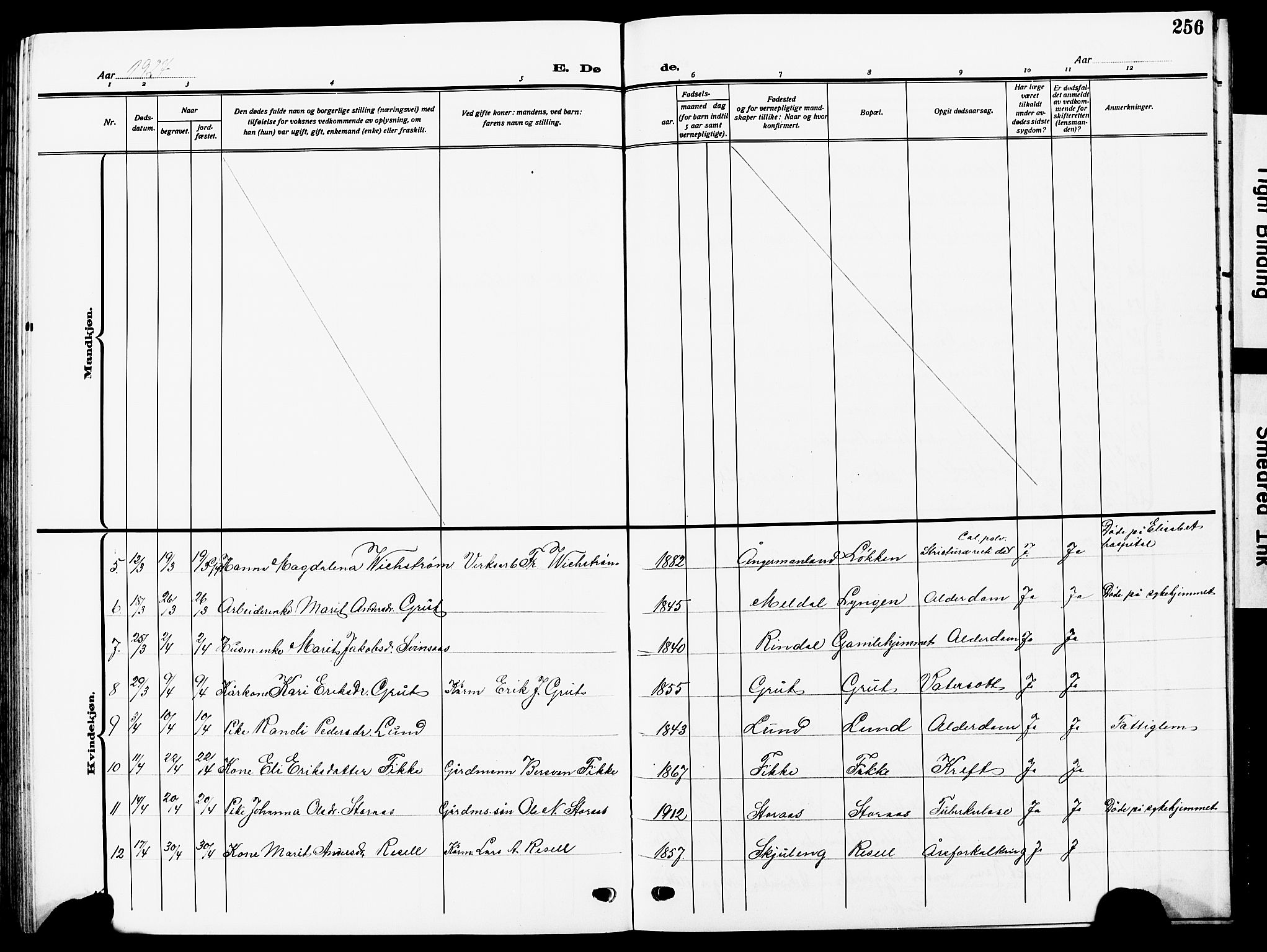 Ministerialprotokoller, klokkerbøker og fødselsregistre - Sør-Trøndelag, SAT/A-1456/672/L0865: Parish register (copy) no. 672C04, 1914-1928, p. 256