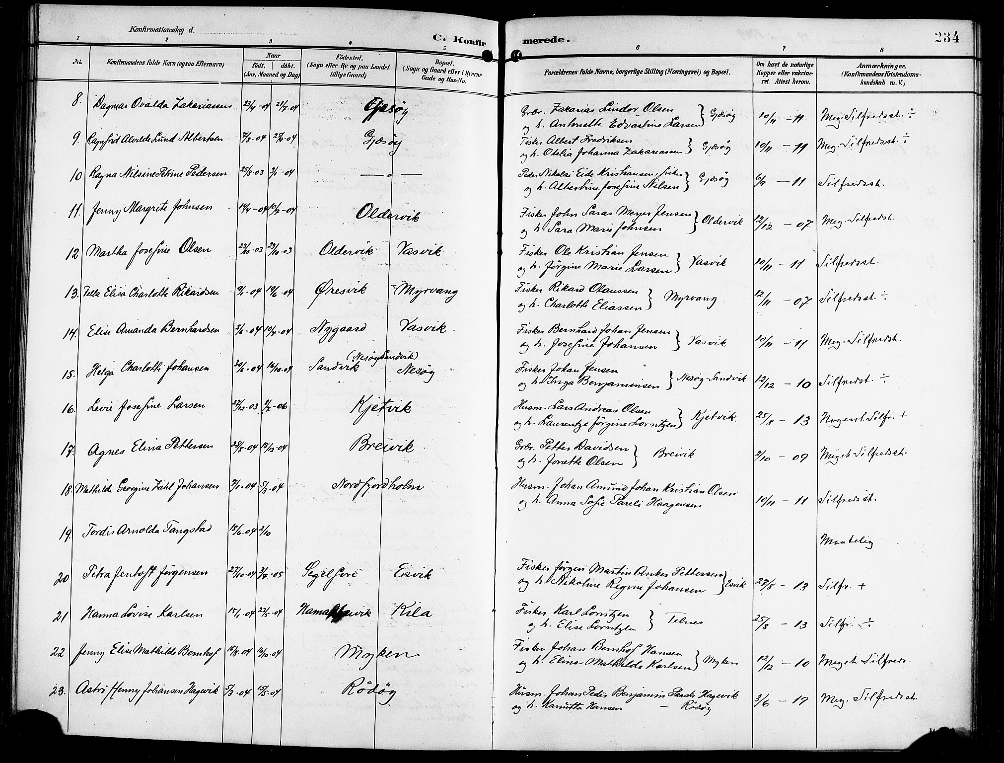 Ministerialprotokoller, klokkerbøker og fødselsregistre - Nordland, AV/SAT-A-1459/841/L0621: Parish register (copy) no. 841C05, 1897-1923, p. 234