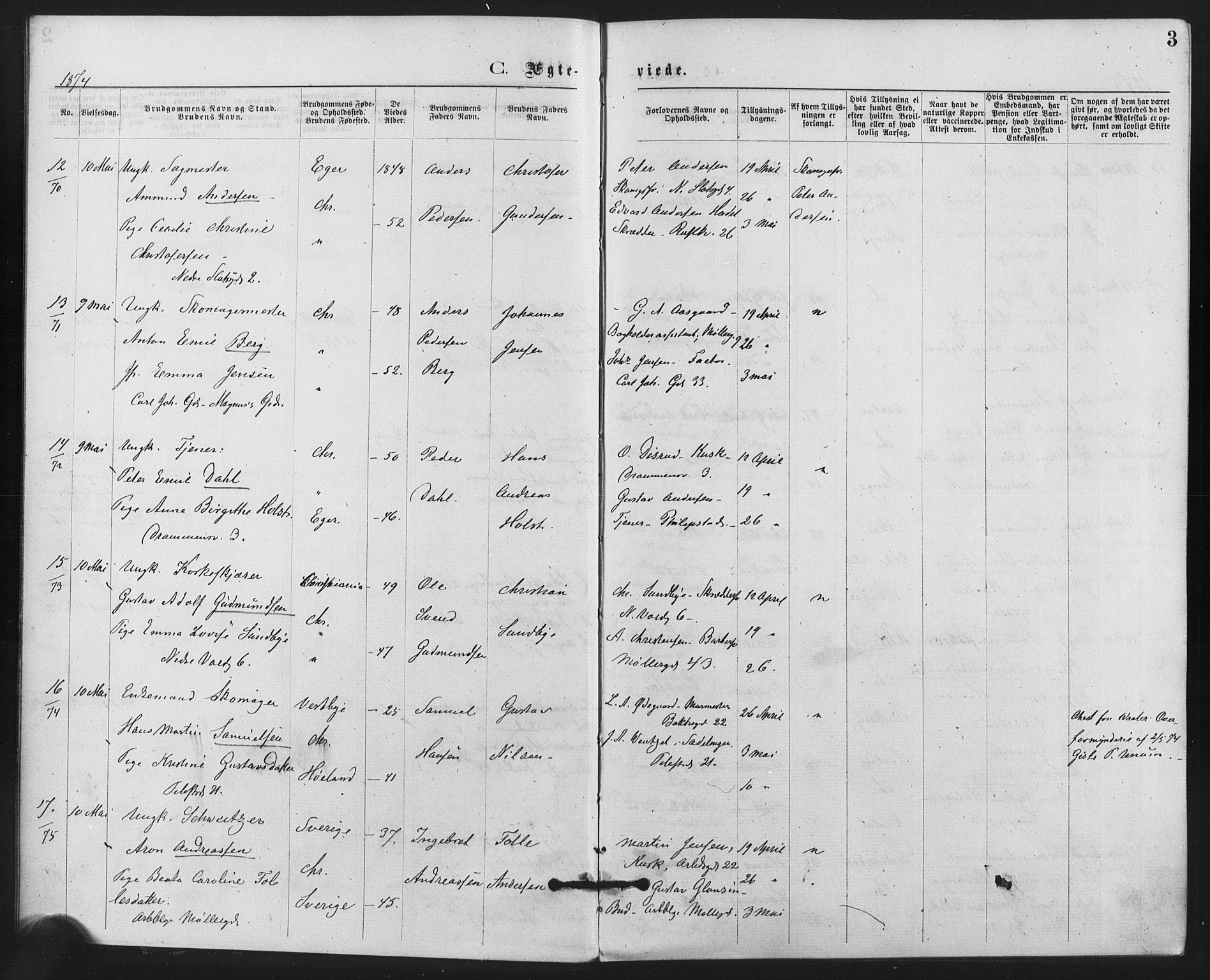 Trefoldighet prestekontor Kirkebøker, AV/SAO-A-10882/F/Fc/L0002: Parish register (official) no. III 2, 1874-1881, p. 3