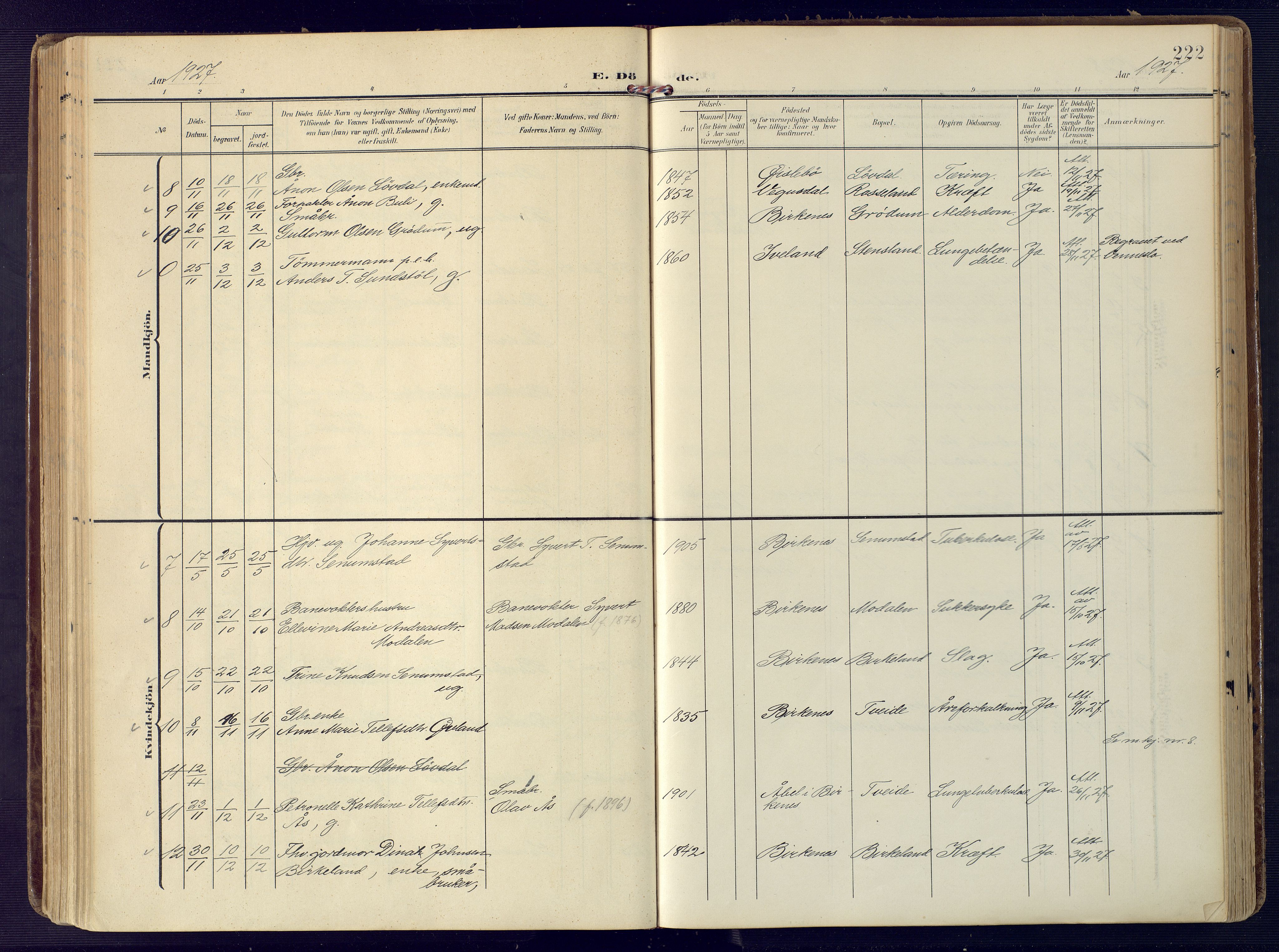 Birkenes sokneprestkontor, SAK/1111-0004/F/Fa/L0006: Parish register (official) no. A 6, 1908-1932, p. 222