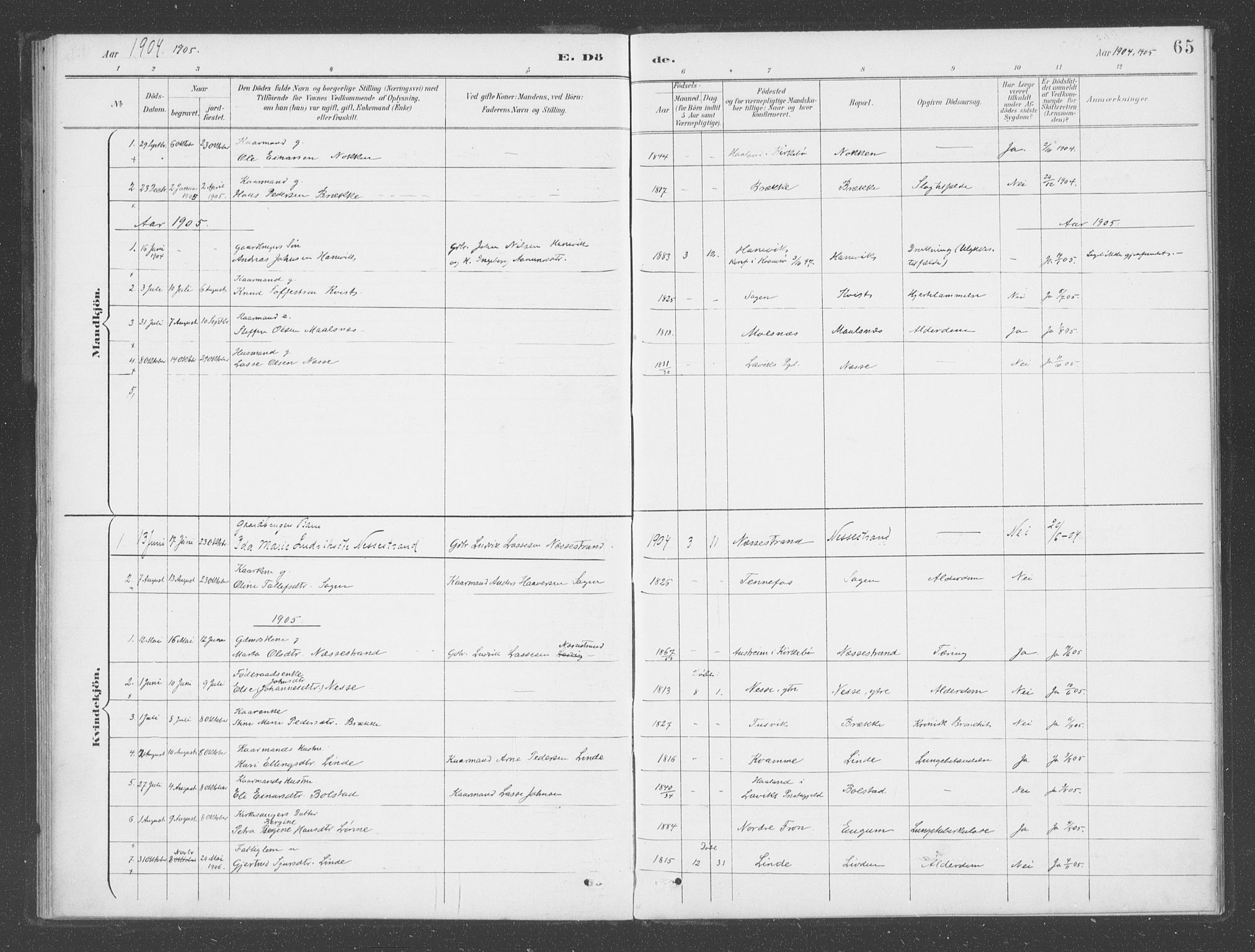 Vik sokneprestembete, AV/SAB-A-81501/H/Haa/Haad/L0002: Parish register (official) no. D  2, 1891-1907, p. 65