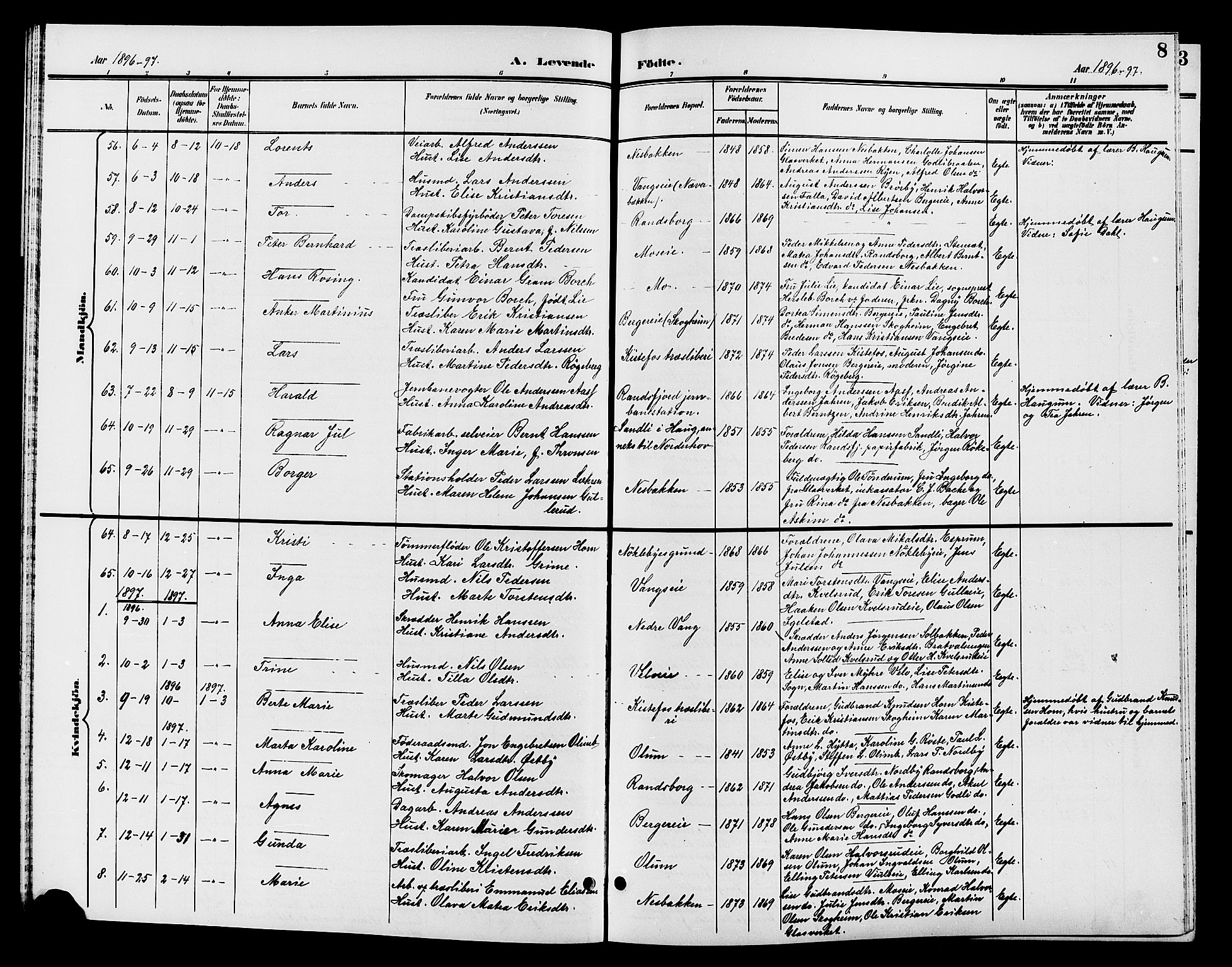 Jevnaker prestekontor, SAH/PREST-116/H/Ha/Hab/L0002: Parish register (copy) no. 2, 1896-1906, p. 8