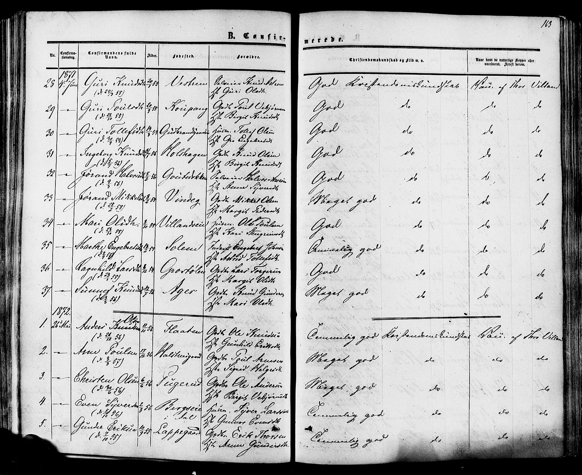 Hol kirkebøker, SAKO/A-227/F/Fa/L0002: Parish register (official) no. I 2, 1870-1886, p. 163