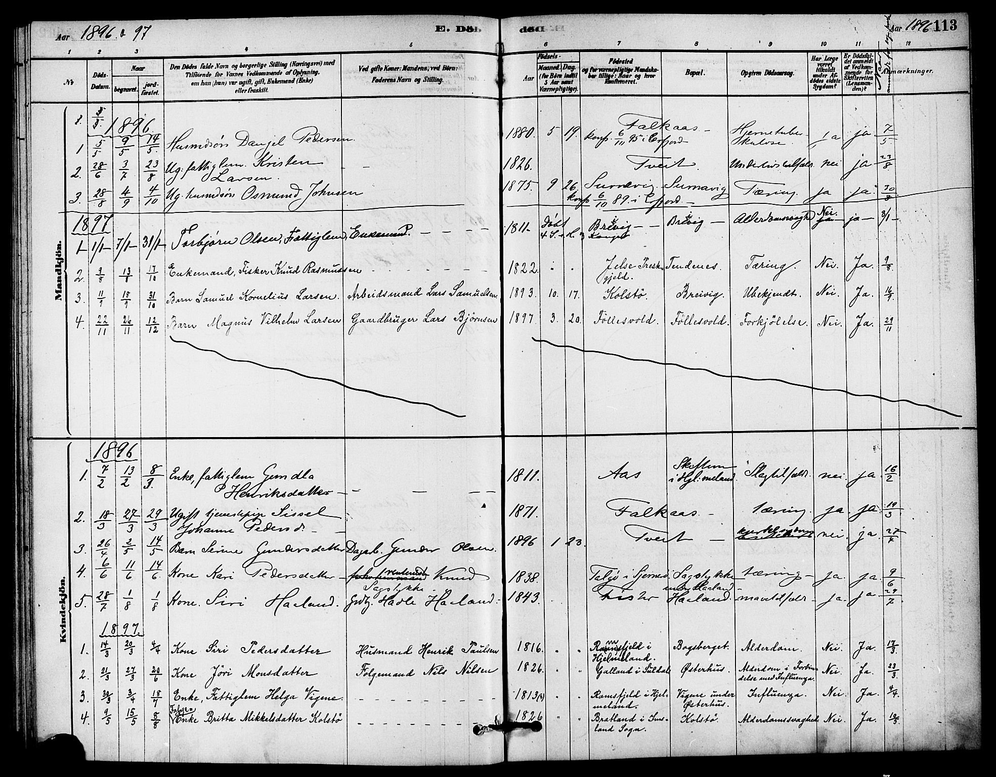 Jelsa sokneprestkontor, SAST/A-101842/01/IV: Parish register (official) no. A 9, 1878-1898, p. 113