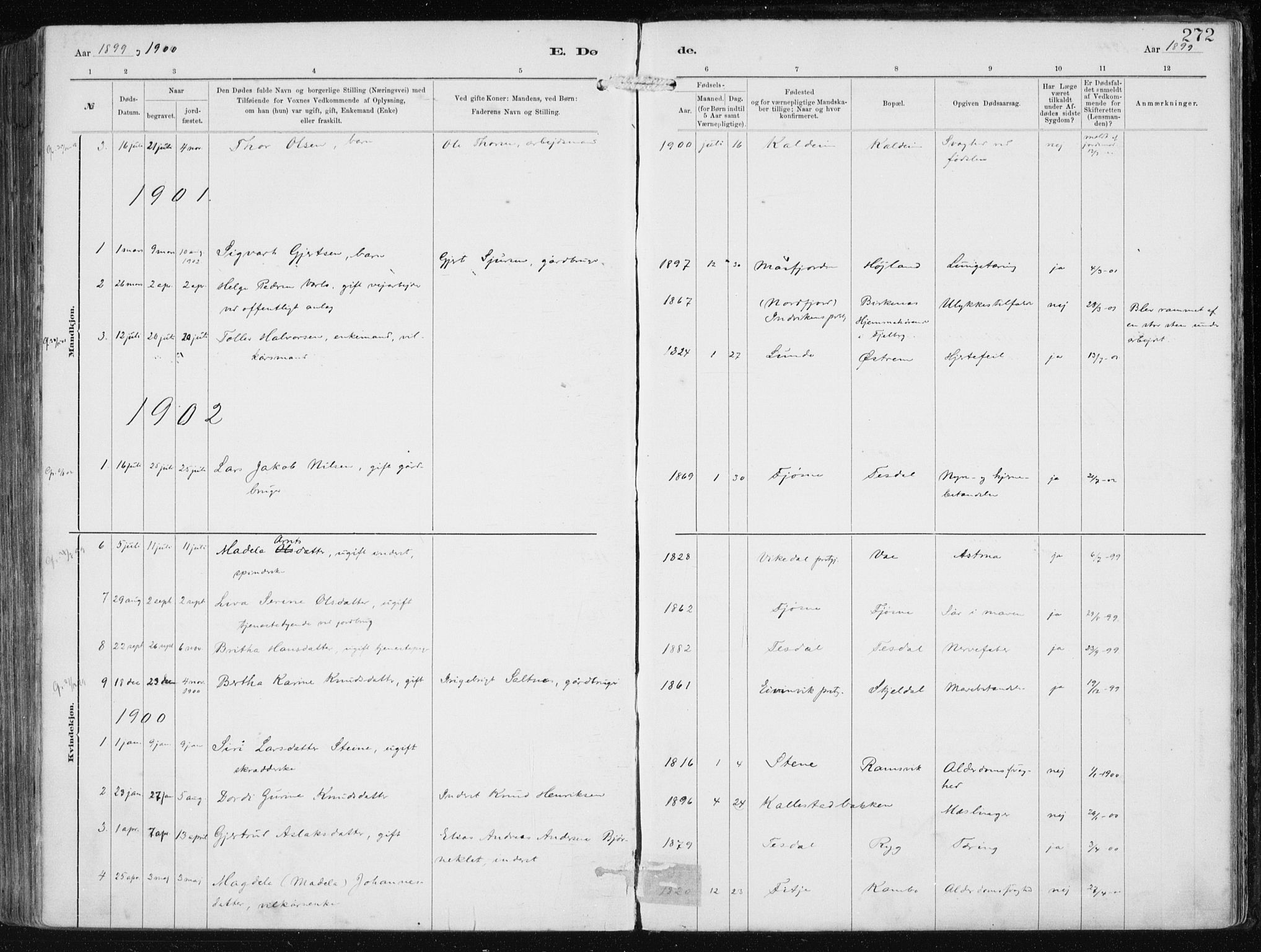Etne sokneprestembete, SAB/A-75001/H/Haa: Parish register (official) no. B  1, 1879-1919, p. 272