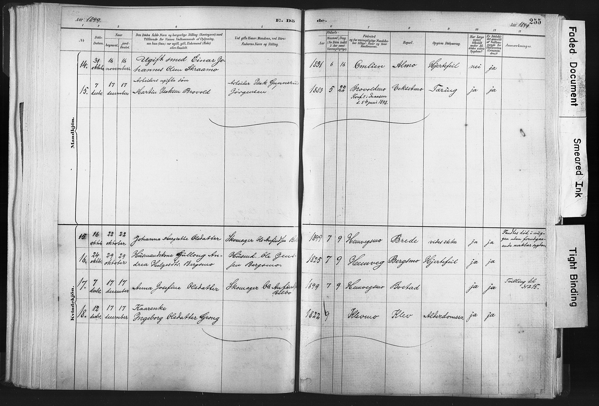 Ministerialprotokoller, klokkerbøker og fødselsregistre - Nord-Trøndelag, SAT/A-1458/749/L0474: Parish register (official) no. 749A08, 1887-1903, p. 255