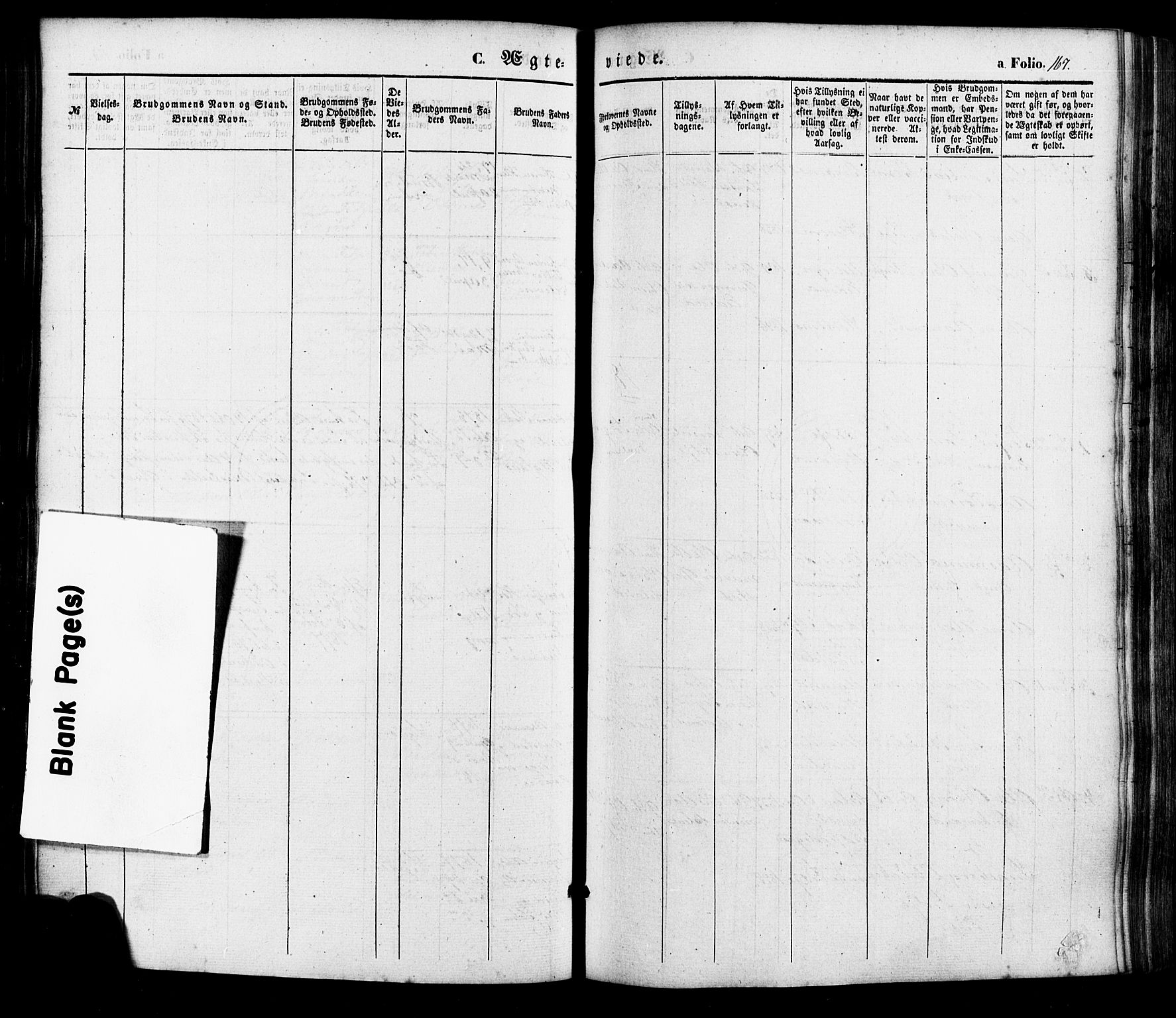 Søgne sokneprestkontor, SAK/1111-0037/F/Fa/Faa/L0002: Parish register (official) no. A 2, 1854-1882, p. 167