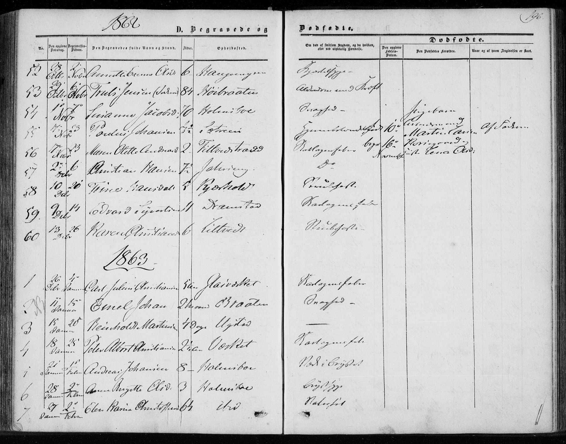 Hurum kirkebøker, SAKO/A-229/F/Fa/L0012: Parish register (official) no. 12, 1861-1875, p. 196