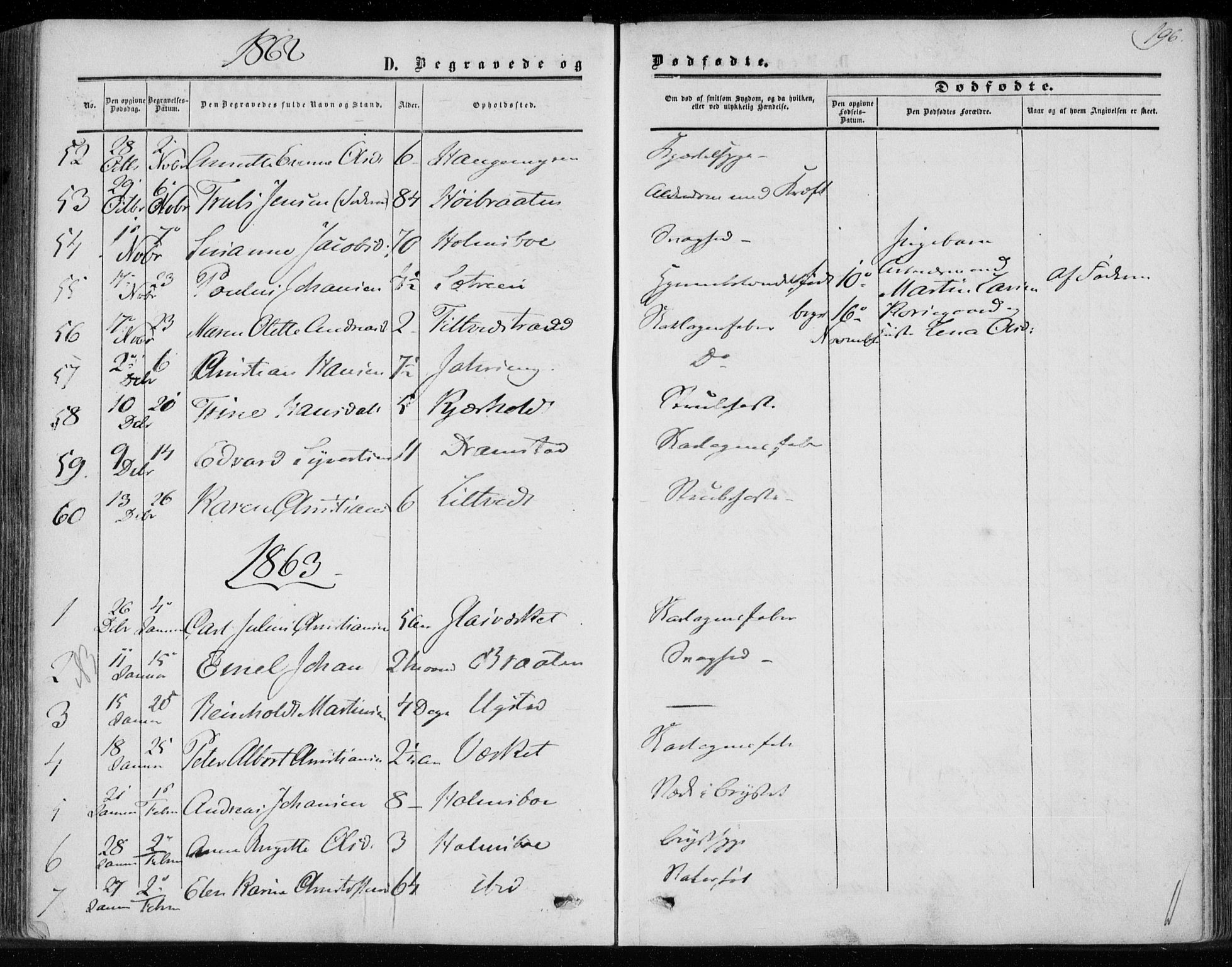 Hurum kirkebøker, AV/SAKO-A-229/F/Fa/L0012: Parish register (official) no. 12, 1861-1875, p. 196