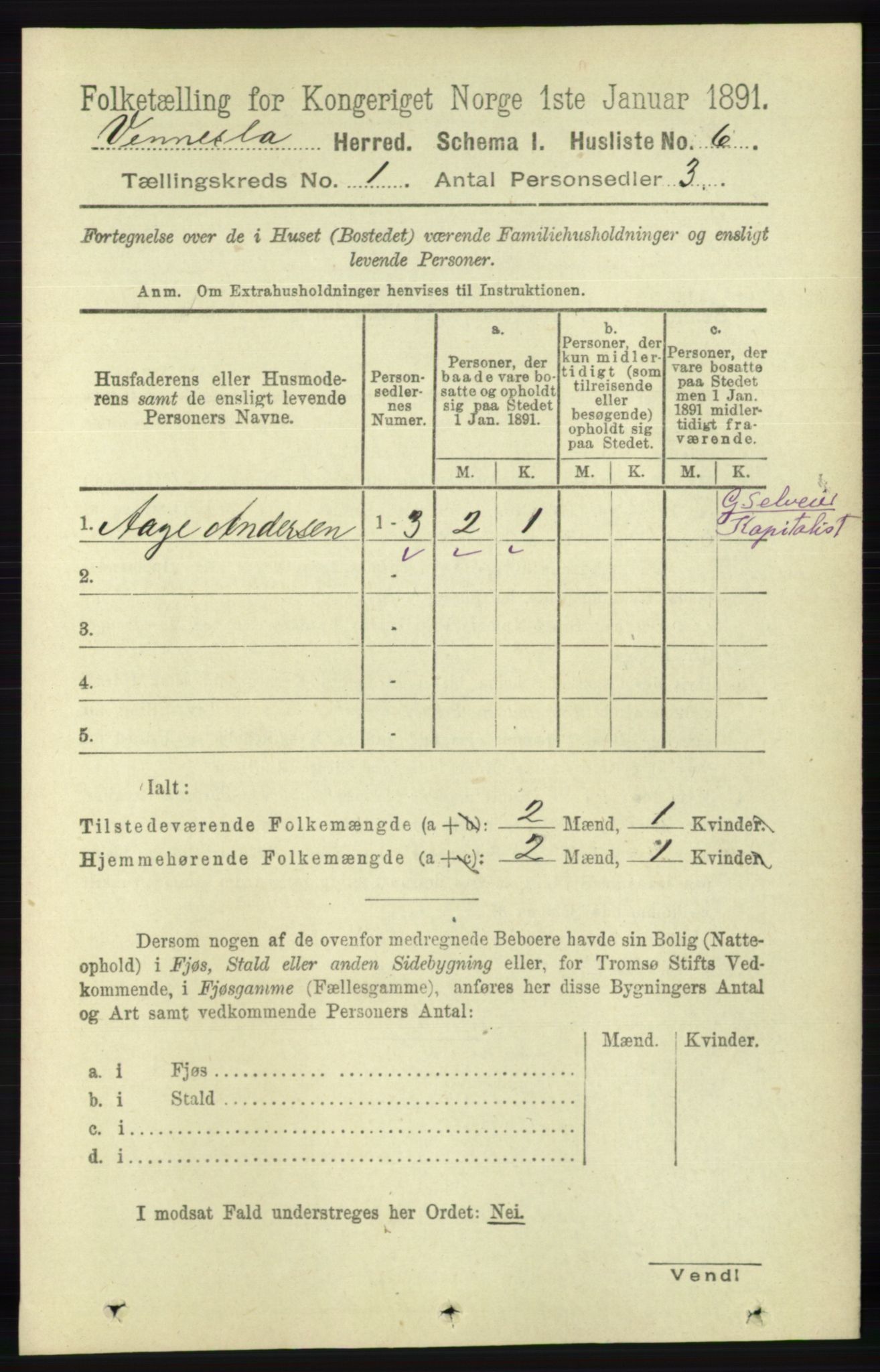 RA, 1891 census for 1014 Vennesla, 1891, p. 22