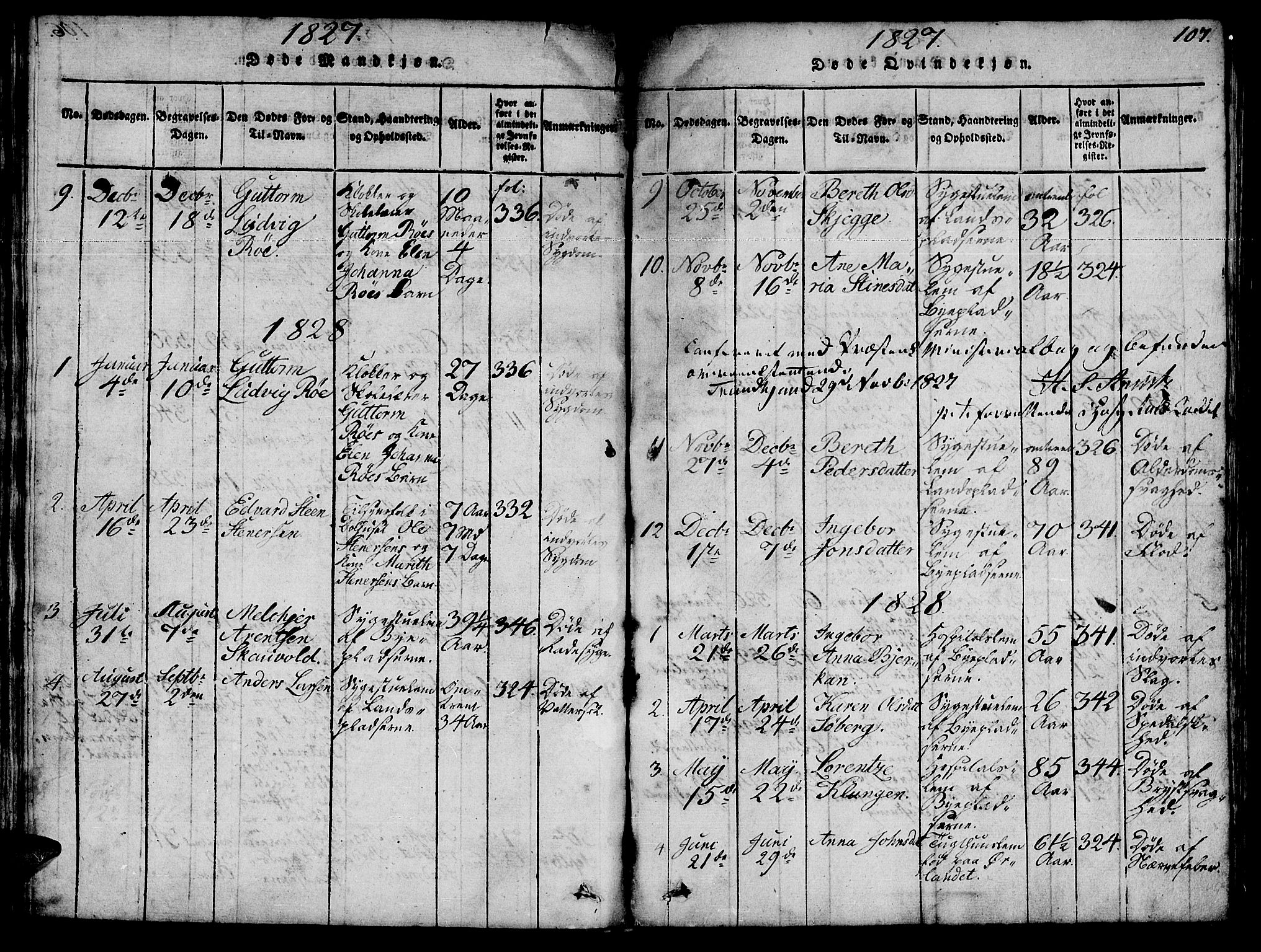Ministerialprotokoller, klokkerbøker og fødselsregistre - Sør-Trøndelag, SAT/A-1456/623/L0478: Parish register (copy) no. 623C01, 1815-1873, p. 107